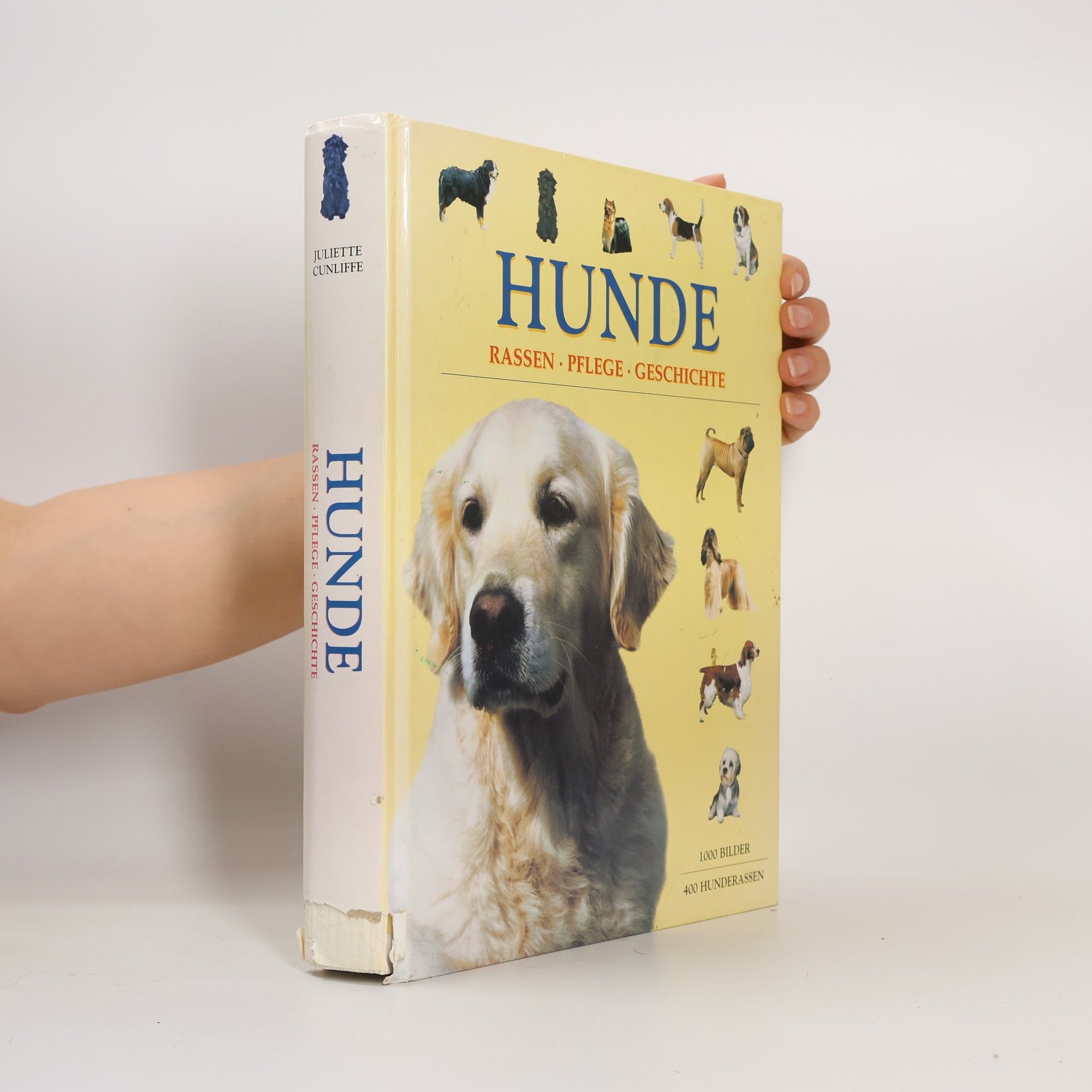 Autorenkollektiv Hunde