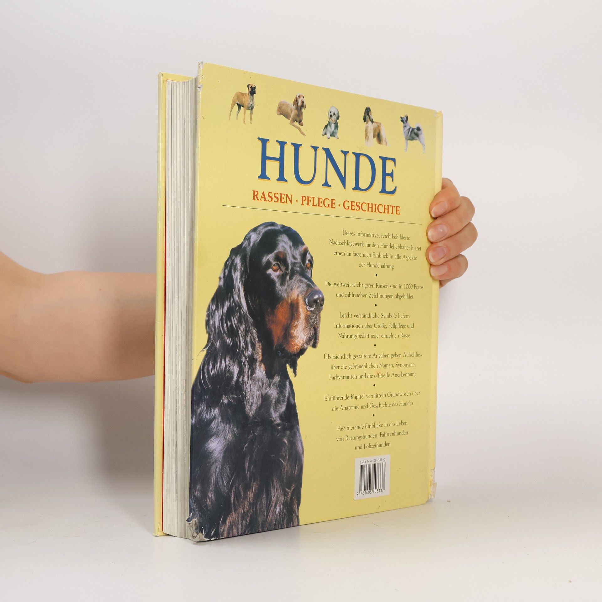 Autorenkollektiv Hunde