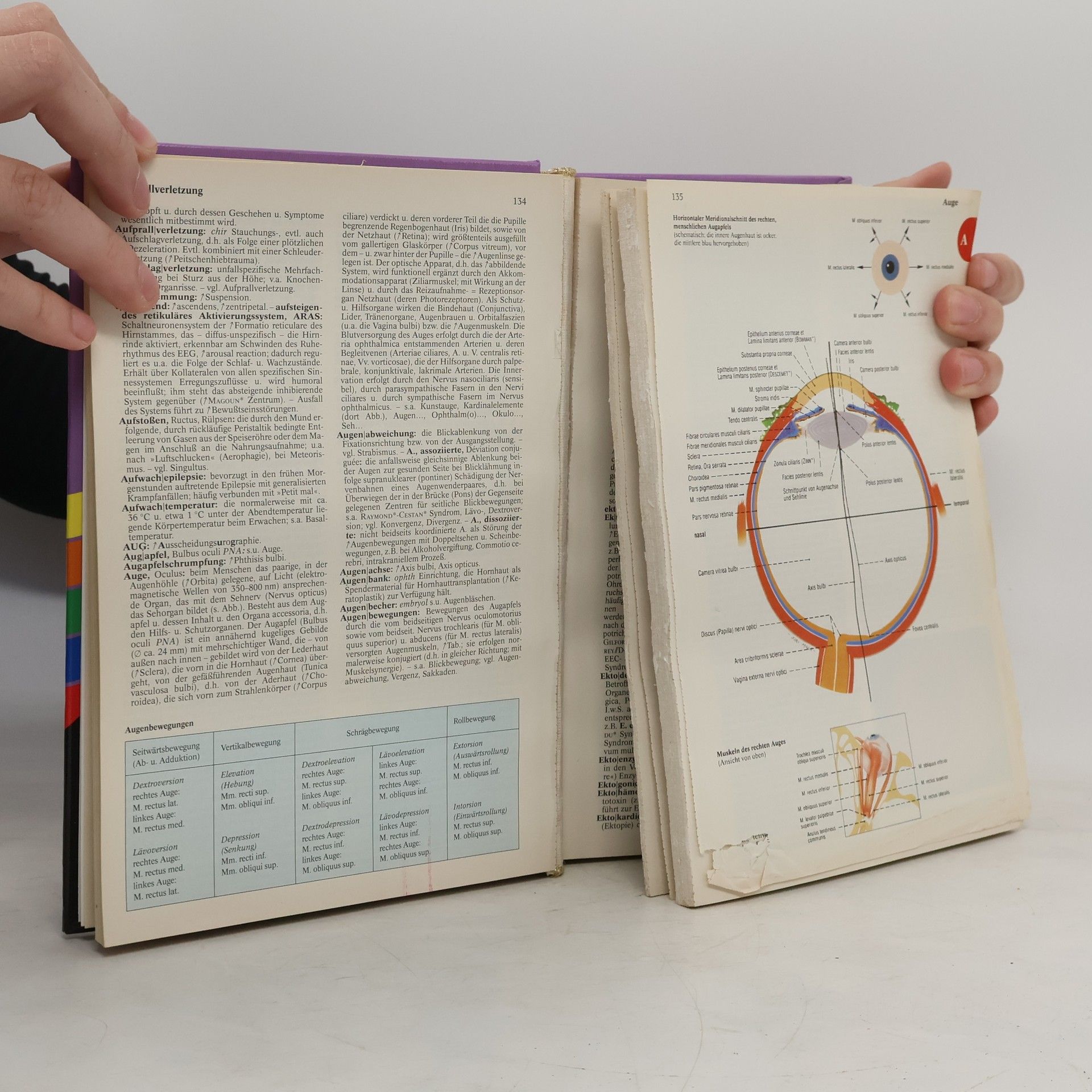 Various authors Lexikon Medizin