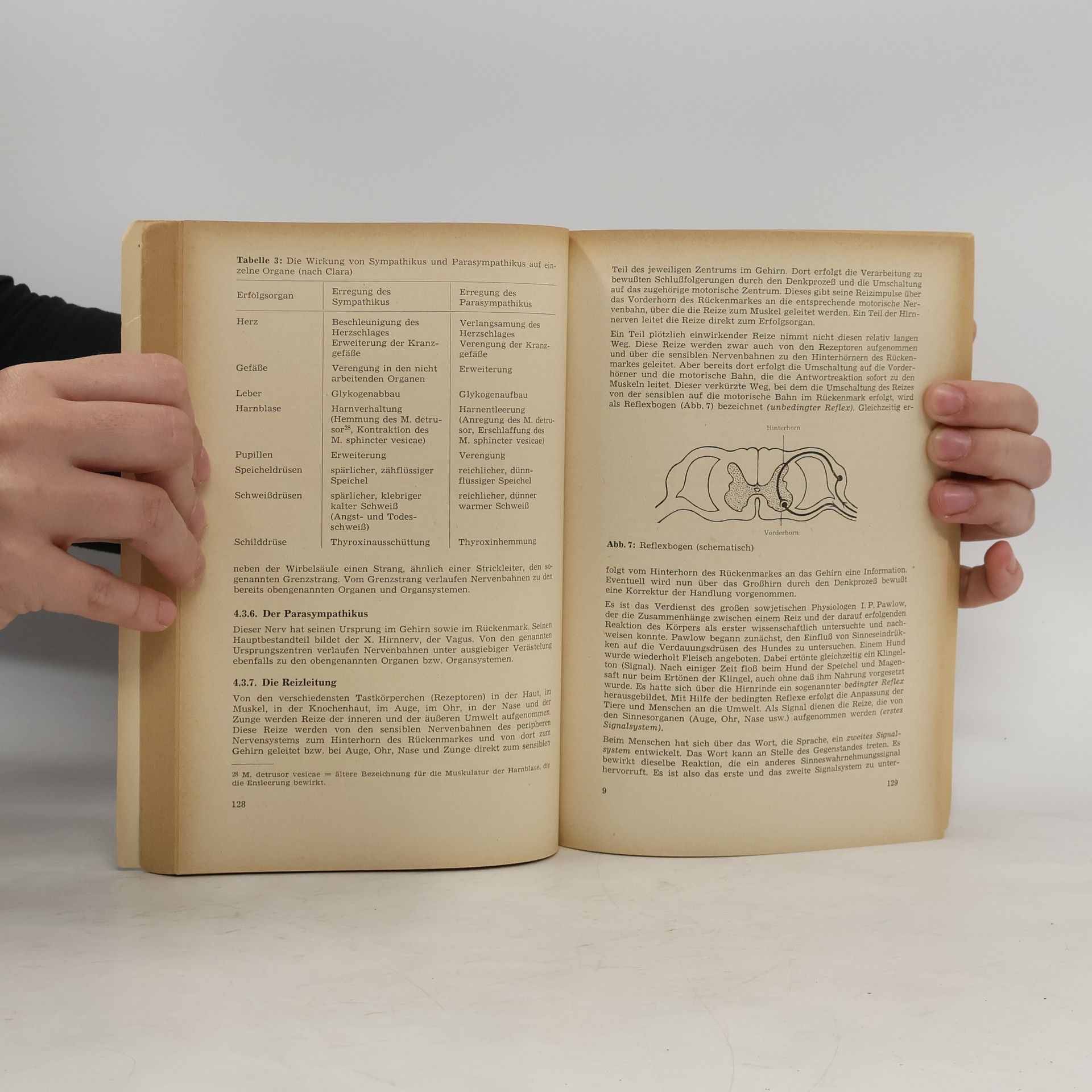 Autorenkollektiv Anatomie Gesundheitserziehung Erste Hilfe