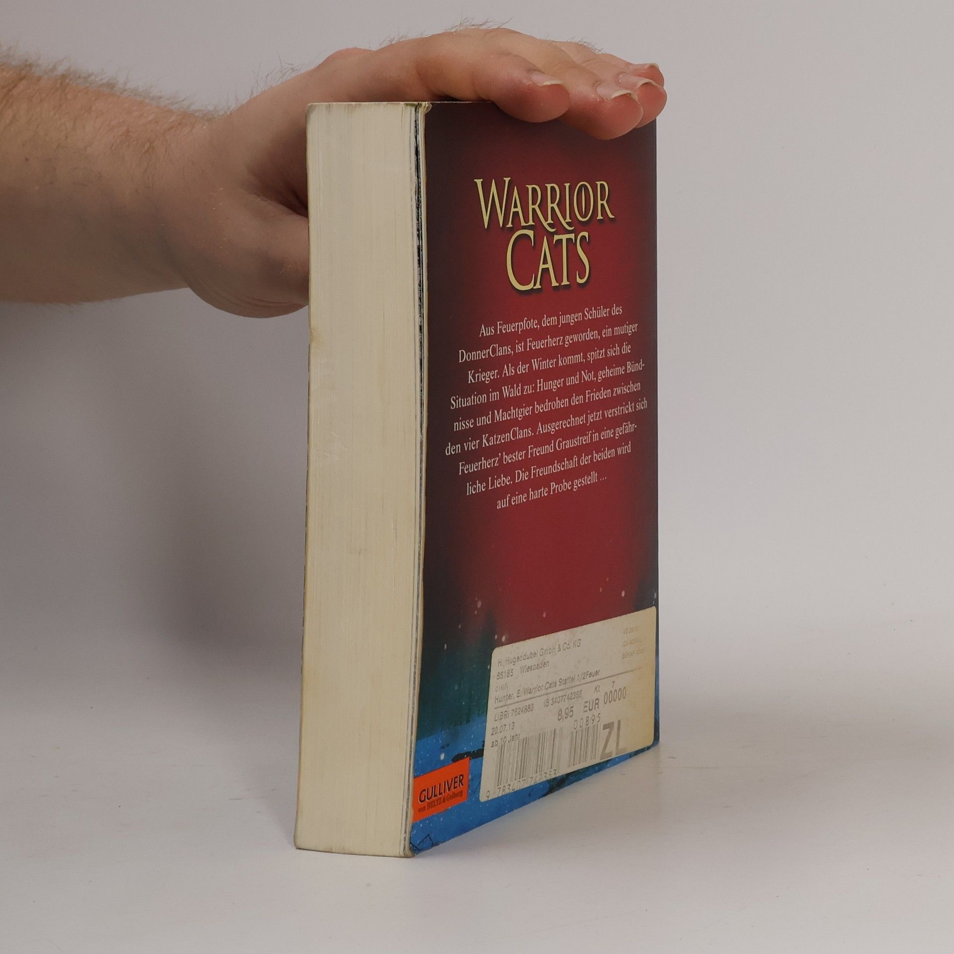 Erin Hunter Warrior Cats. Feuer und Eis