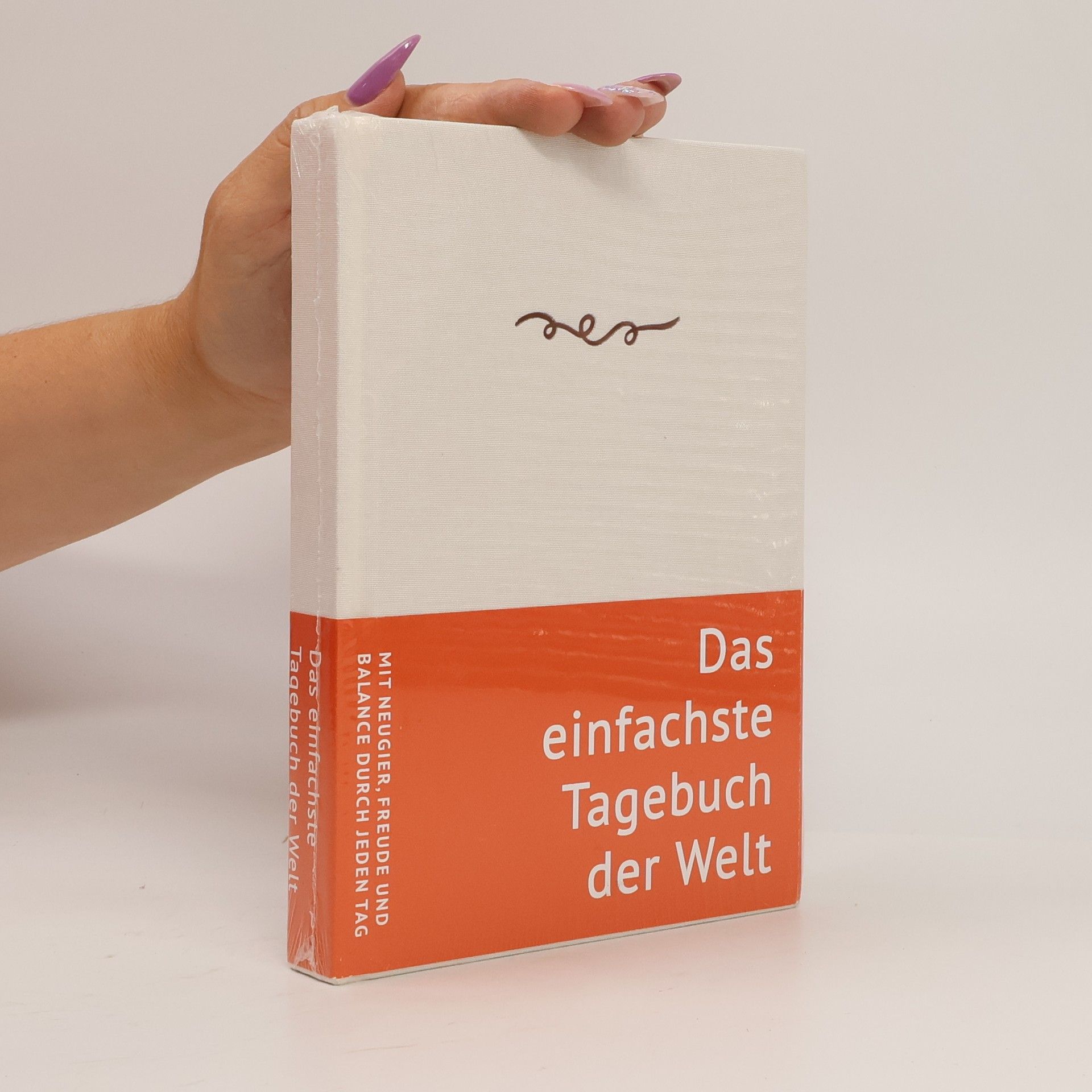 Kolektiv autorů Das einfachste Tagebuch der Welt