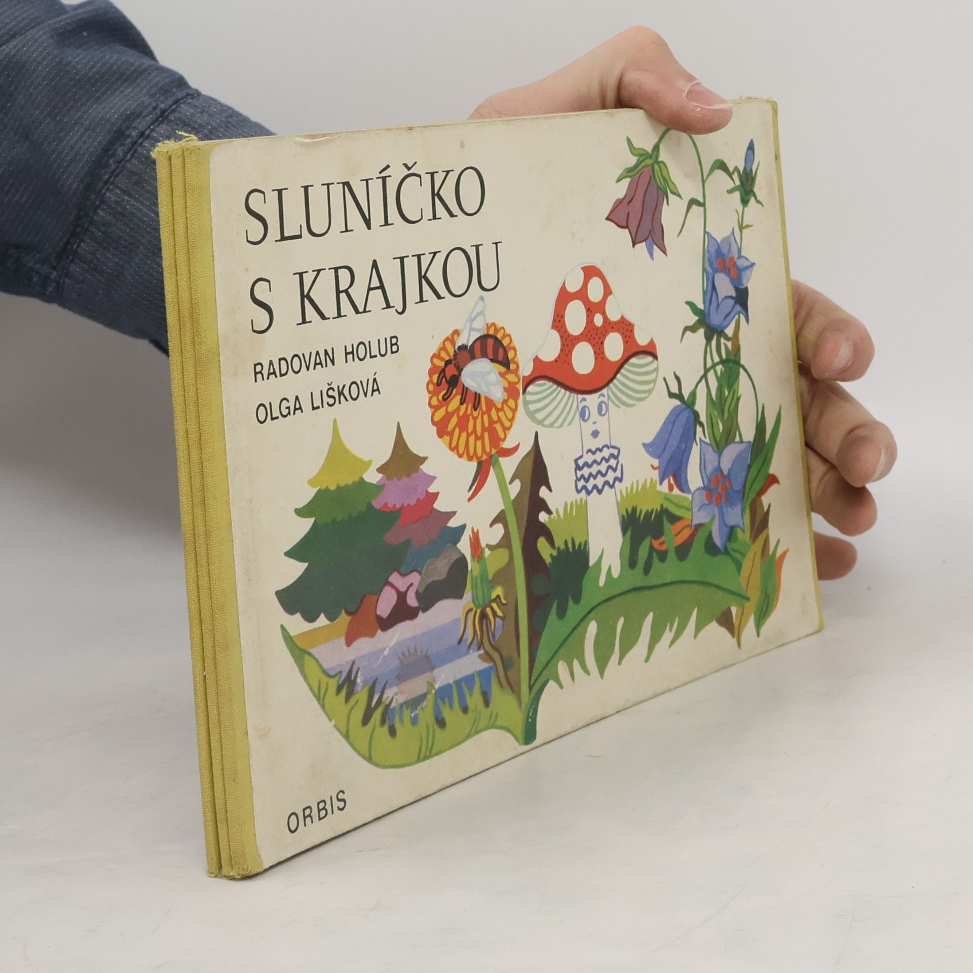 Olga Lišková Sluníčko s krajkou