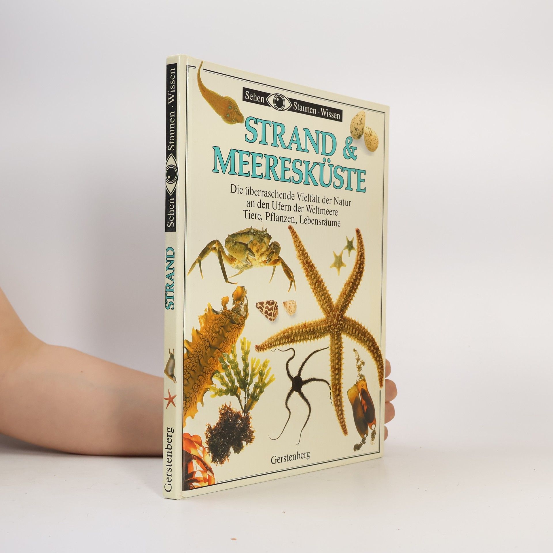 Steve Parker Strand & Meeresküste