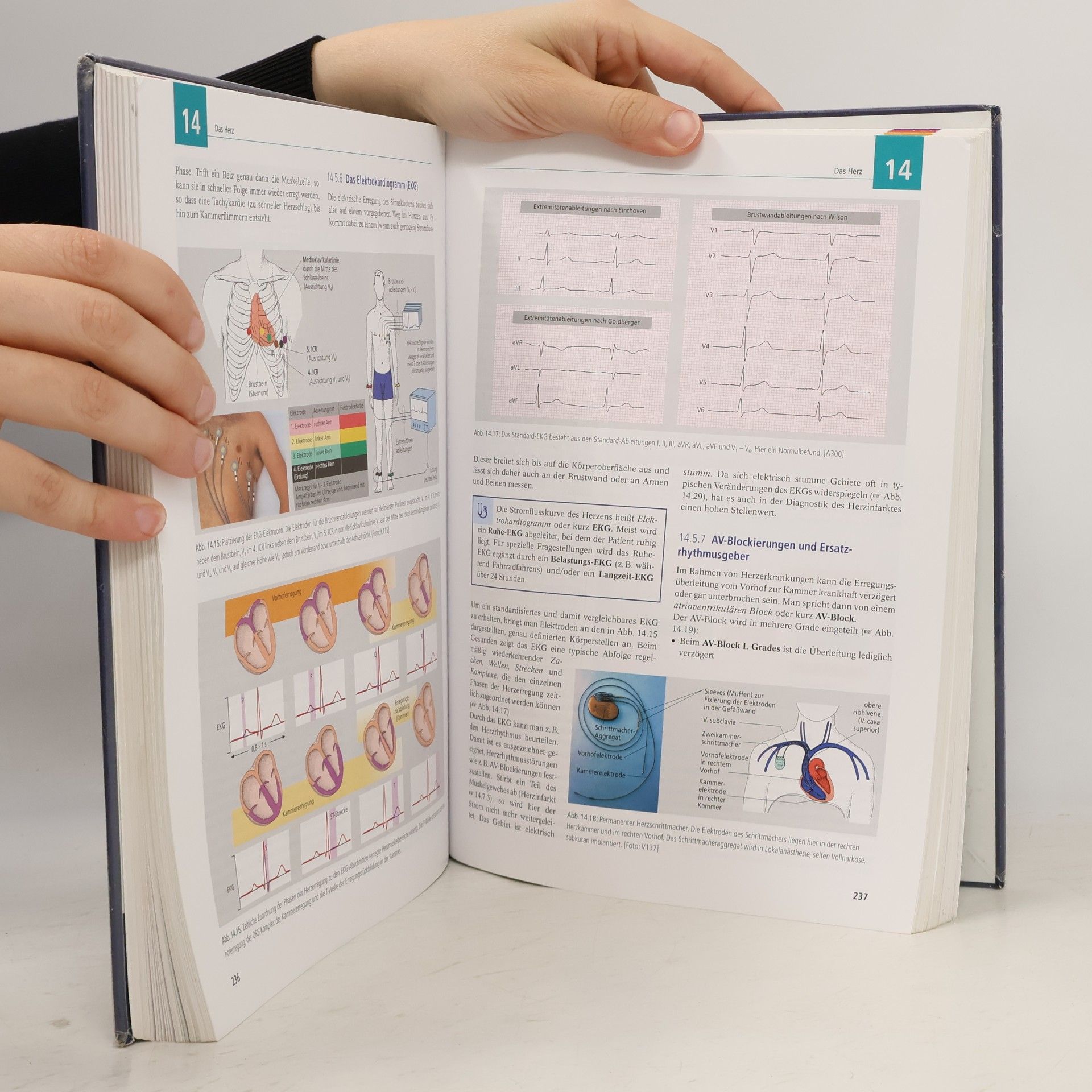 Nicole Menche Biologie, Anatomie, Physiologie
