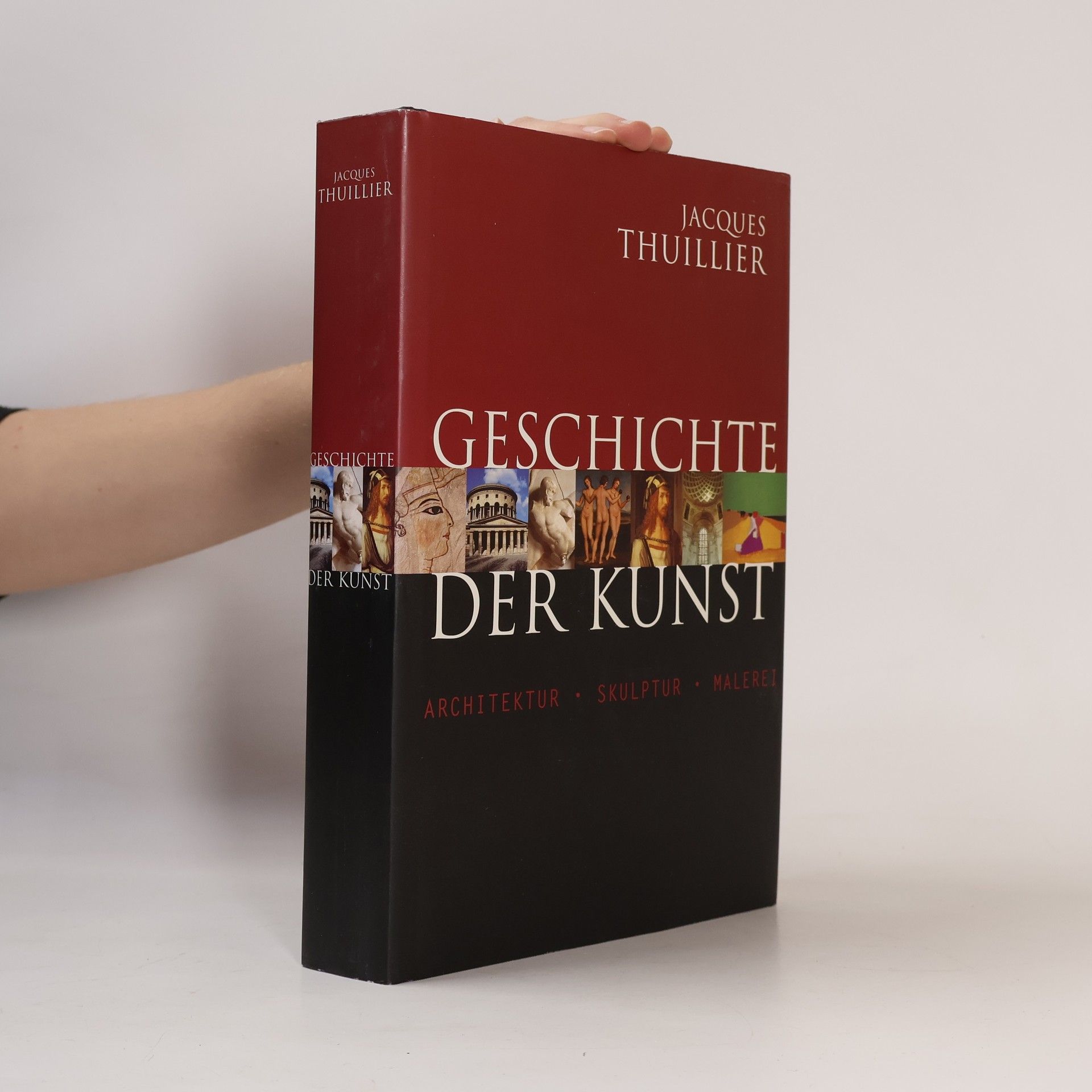 Jacques Thuillier Geschichte der Kunst