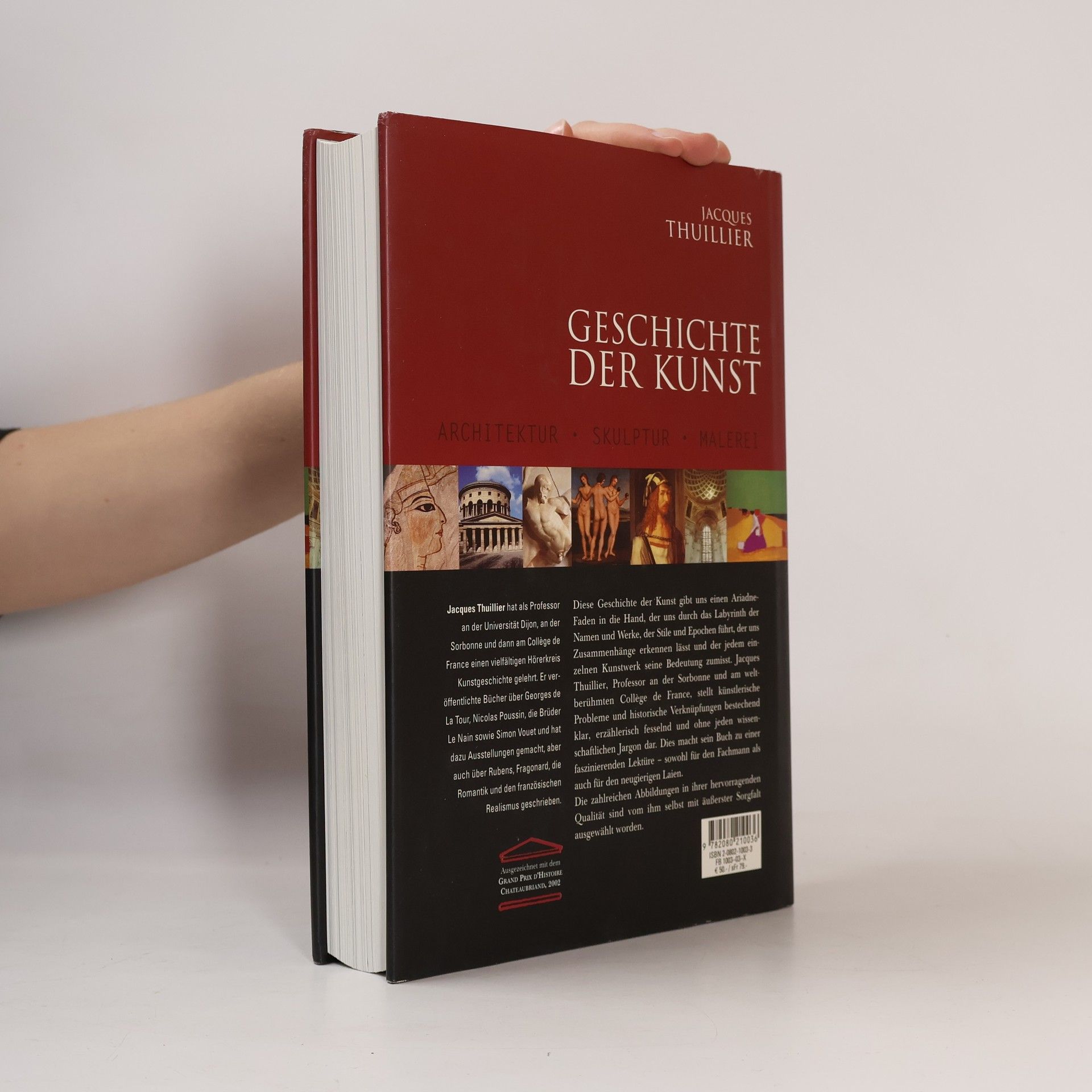 Jacques Thuillier Geschichte der Kunst