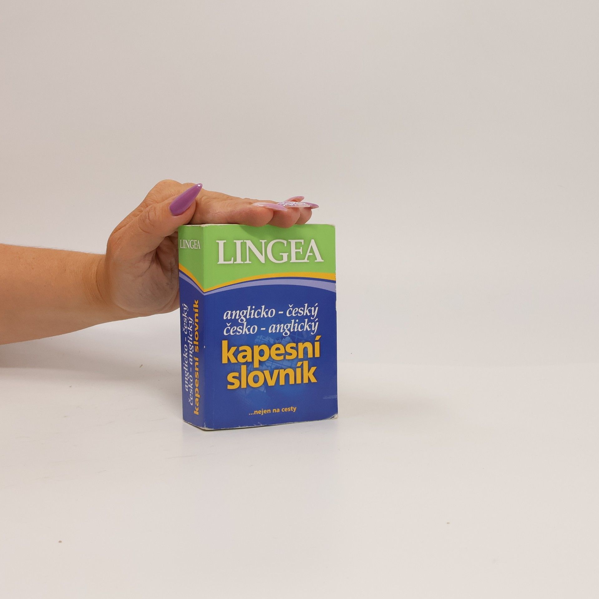 Autorenkollektiv Anglicko-český, česko-anglický kapesní slovník