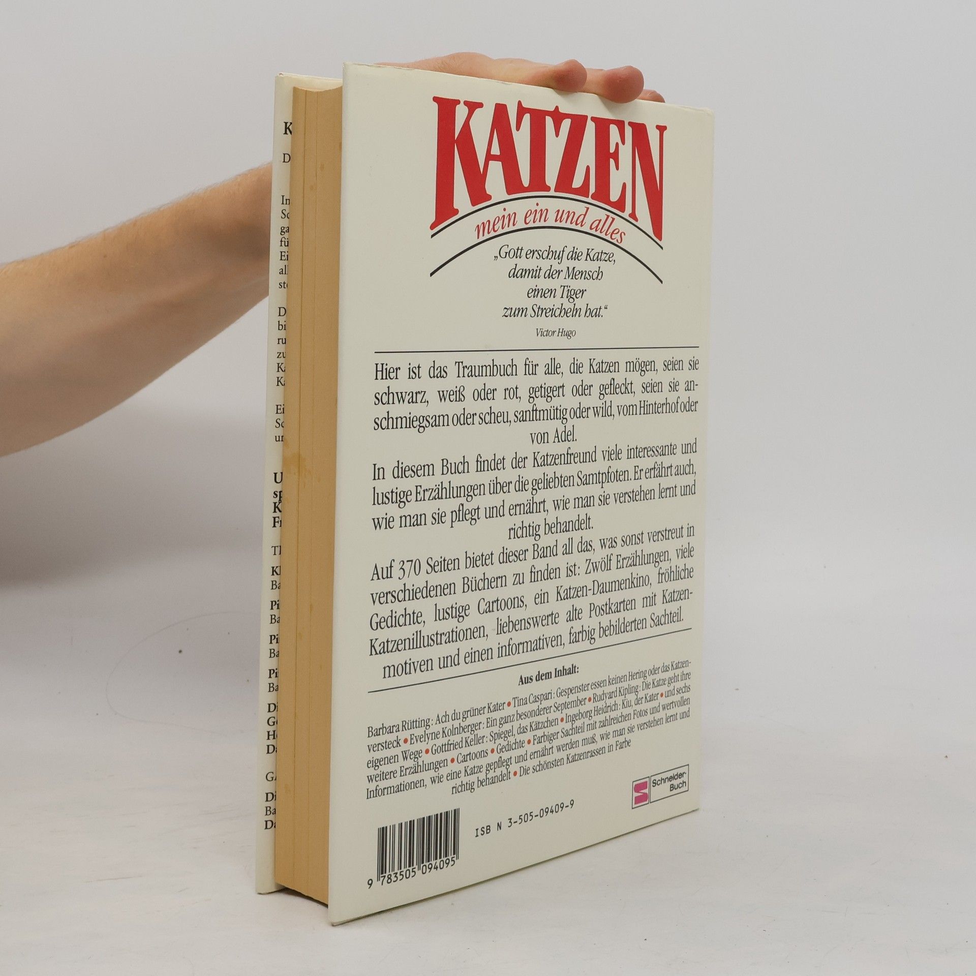 Auteurscollectief Katzen. Mein ein und alles