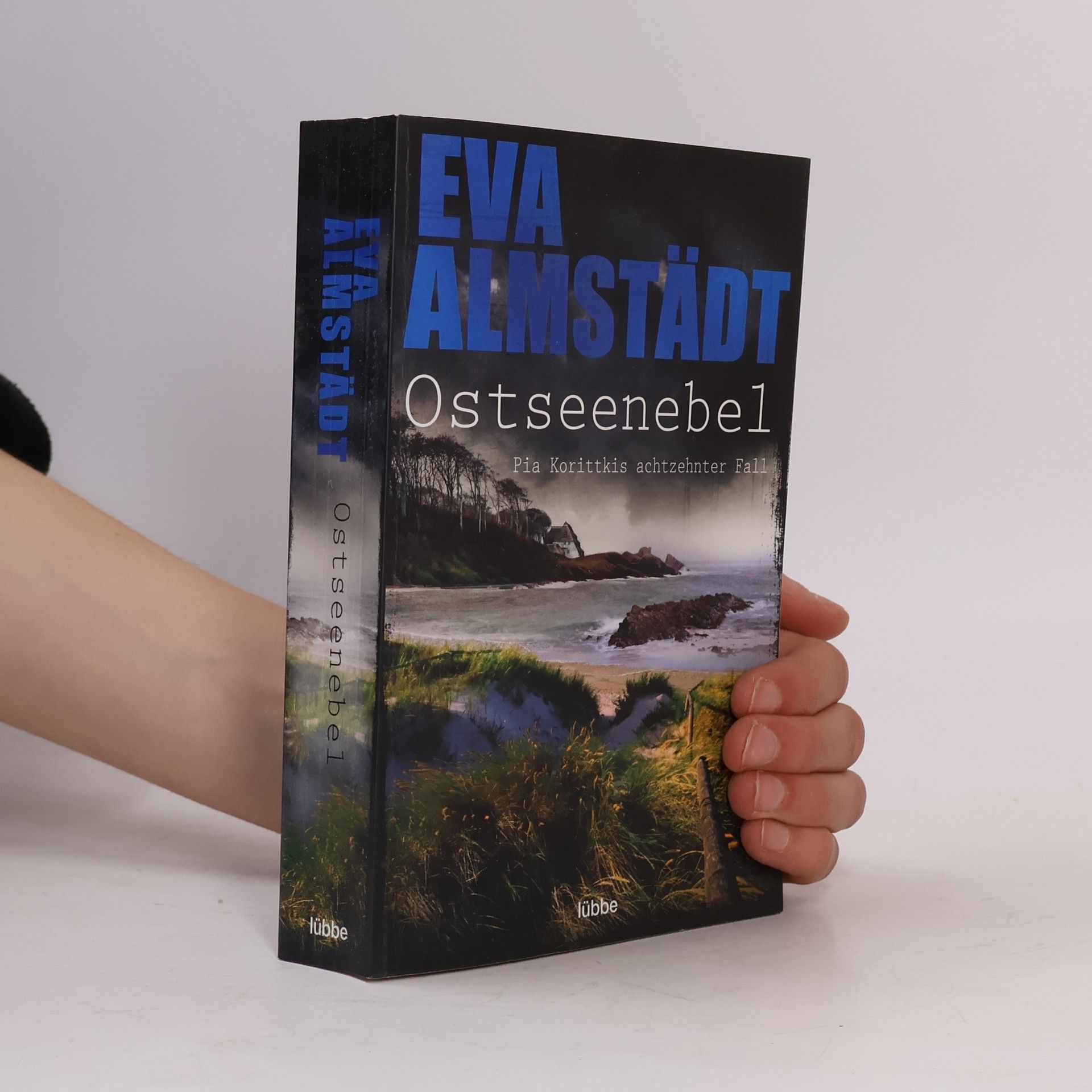 Eva Almstädt Ostseenebel