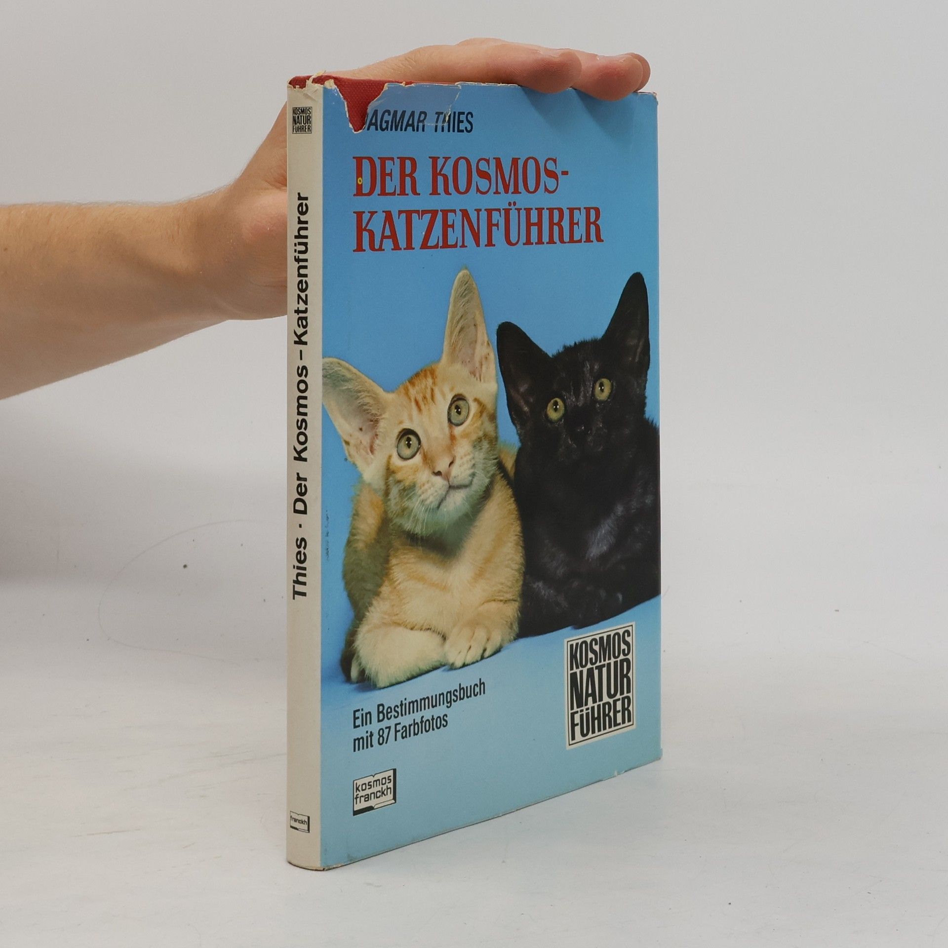 Dagmar Thies Der Kosmos-Katzenführer