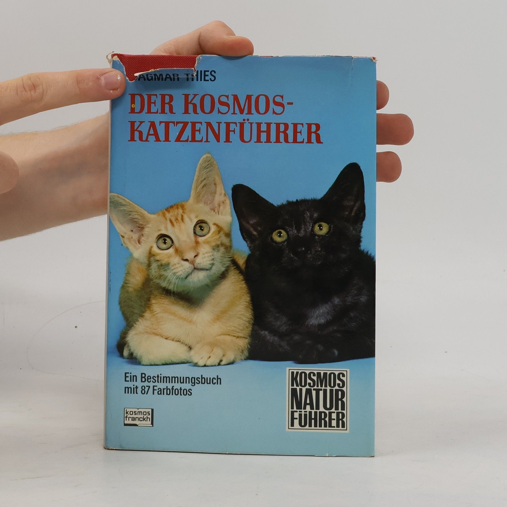 Dagmar Thies Der Kosmos-Katzenführer