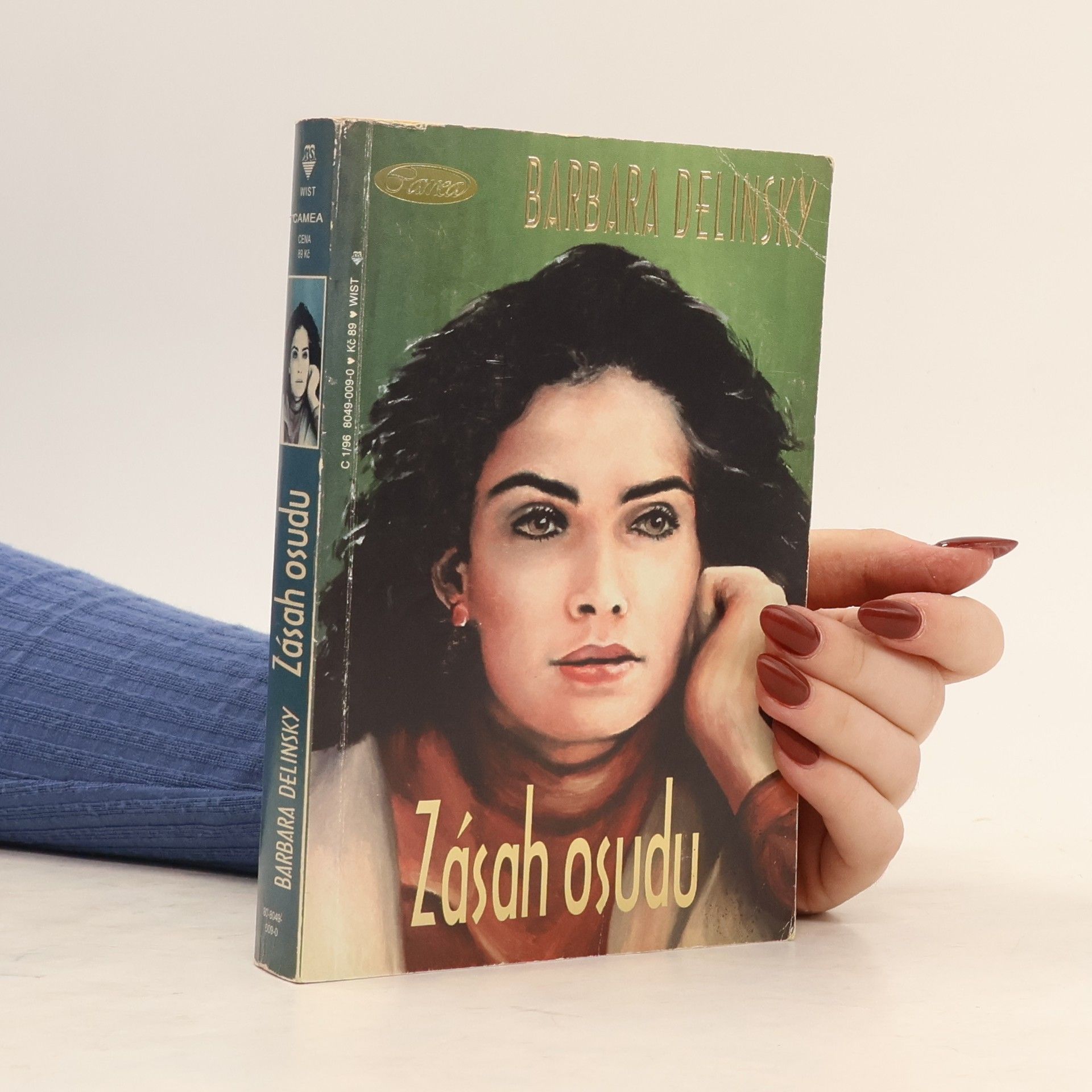 Barbara Delinsky Zásah osudu