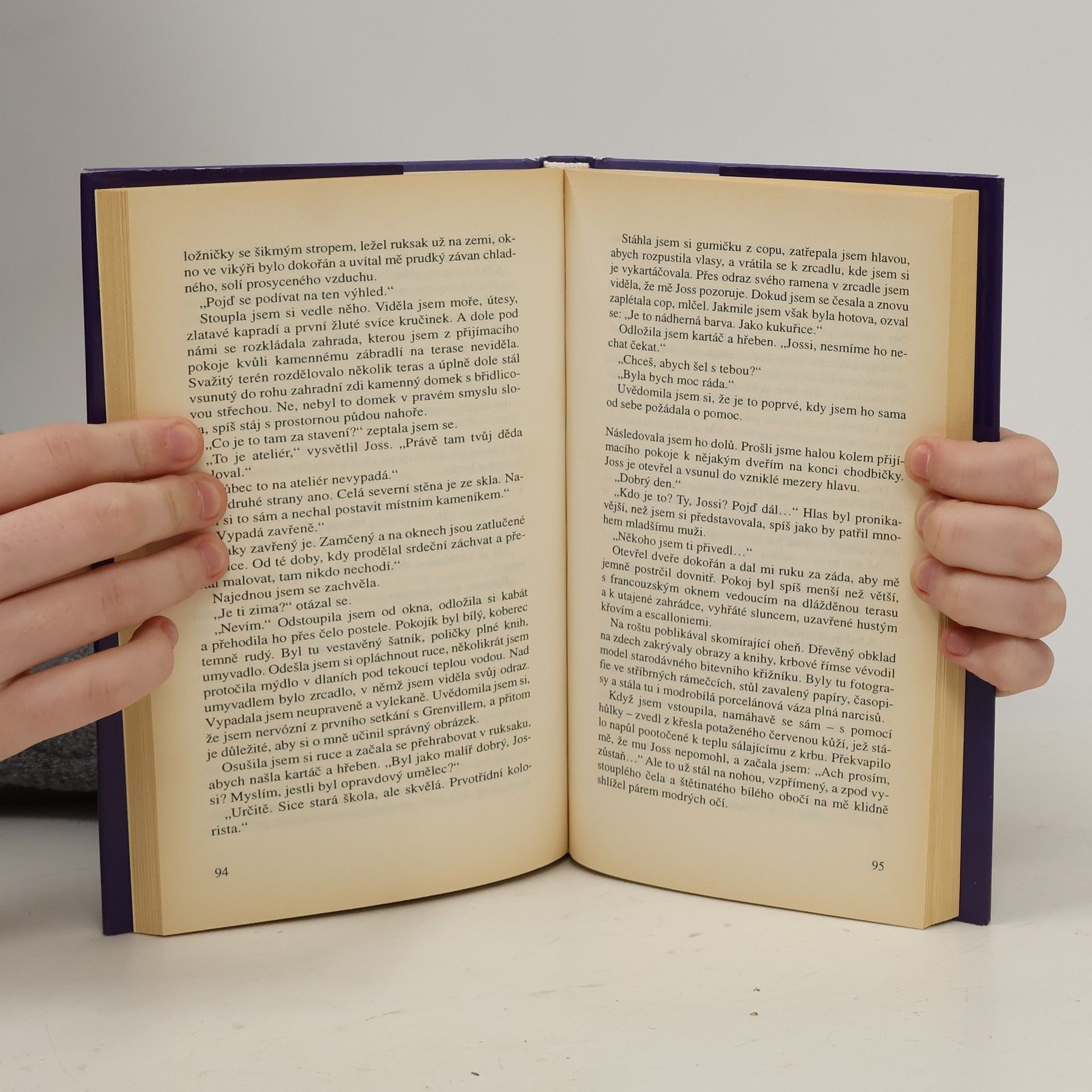 Rosamunde Pilcher Bouřlivé pobřeží