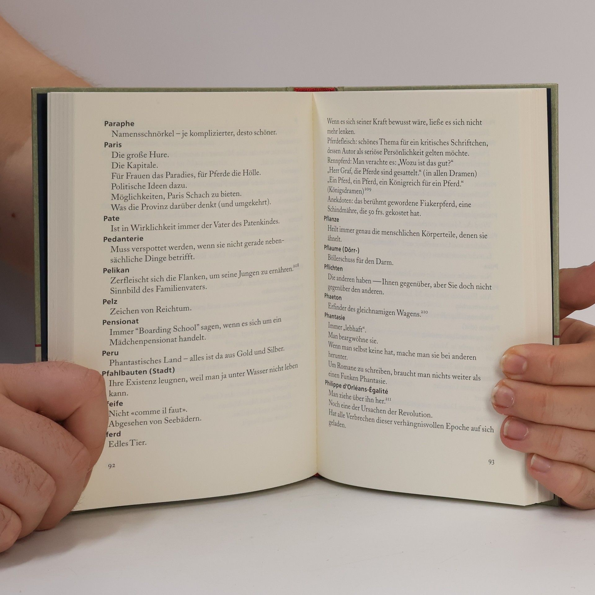 Gustave Flaubert Wörterbuch der gemeinen Phrasen