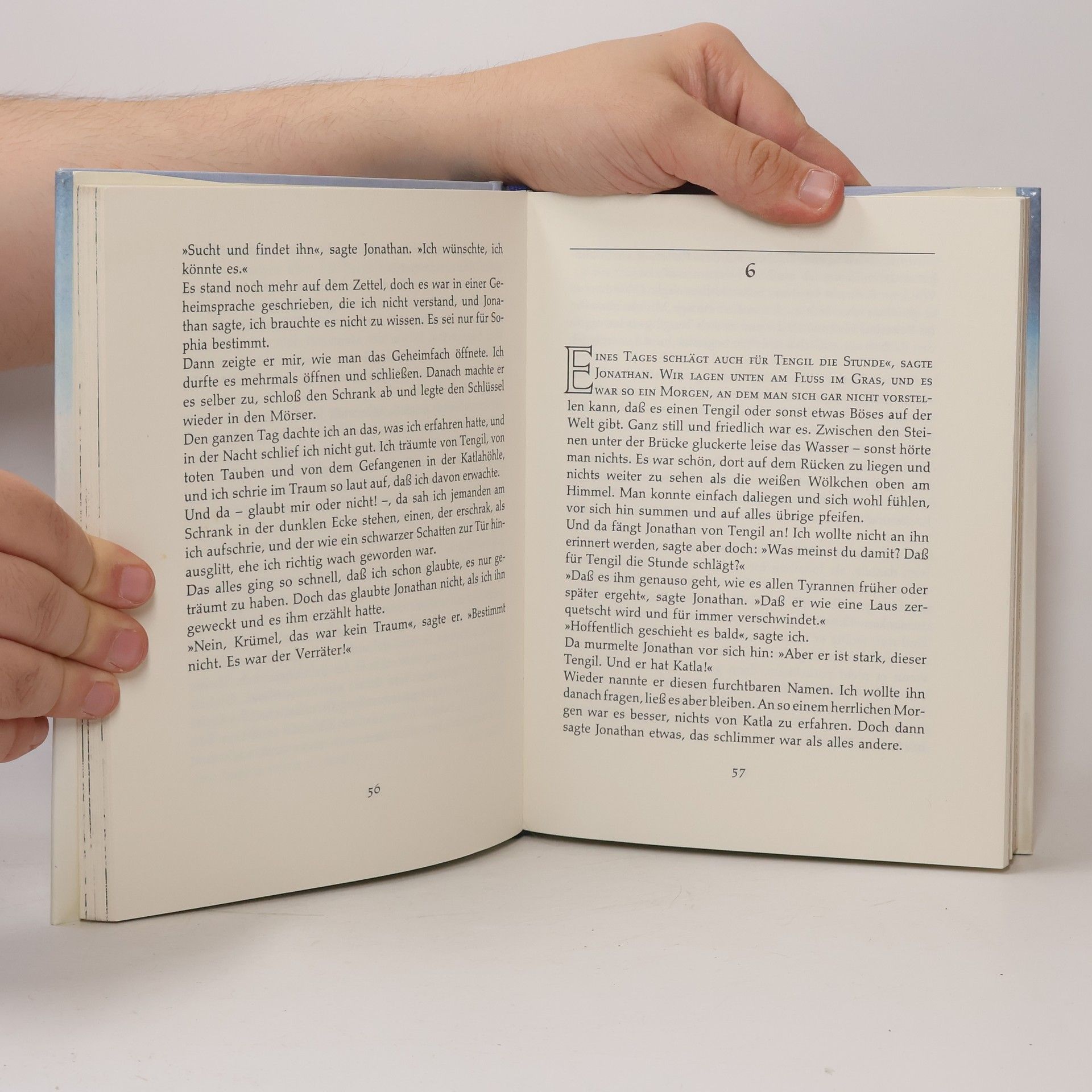Astrid Lindgren Die Brüder Löwenherz