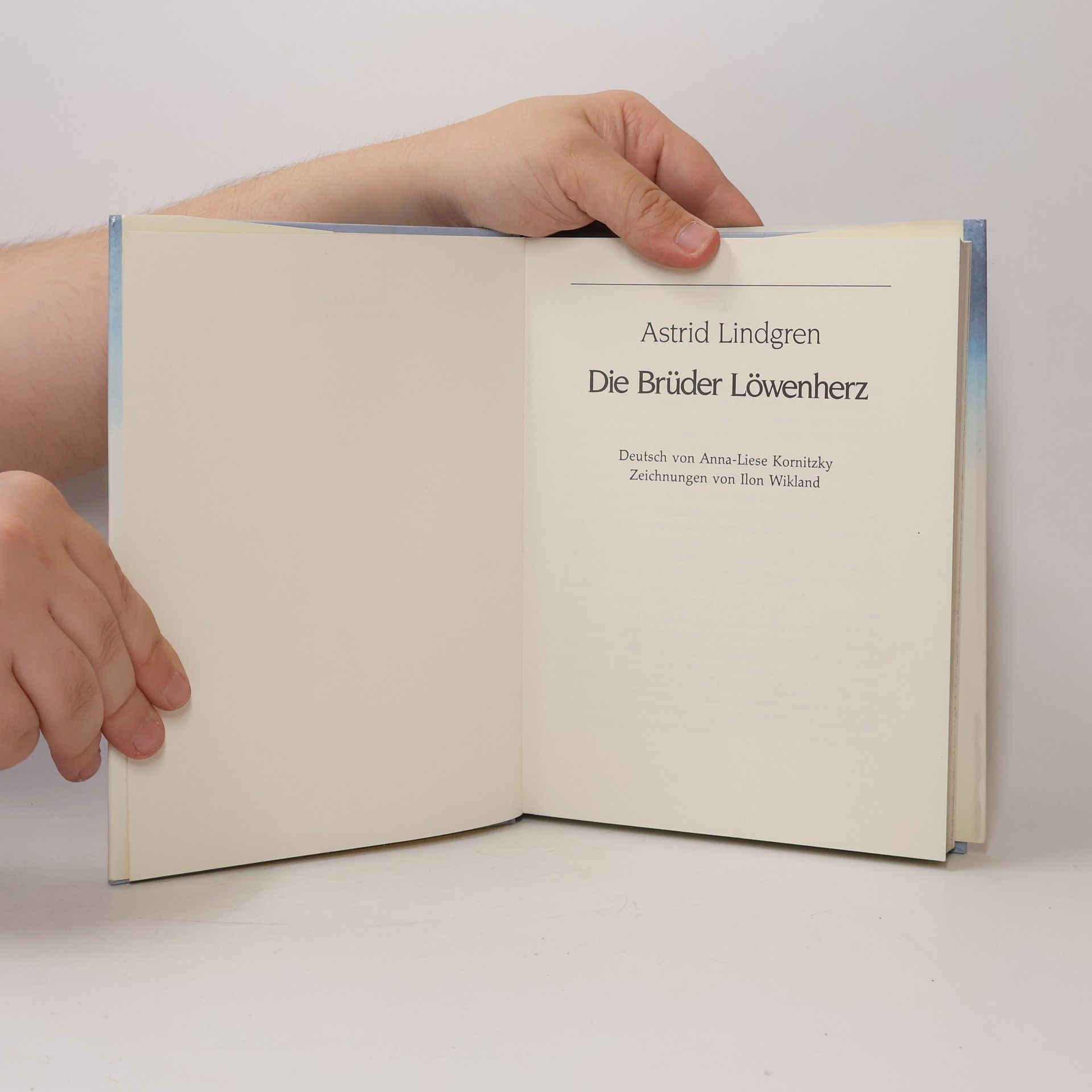 Astrid Lindgren Die Brüder Löwenherz