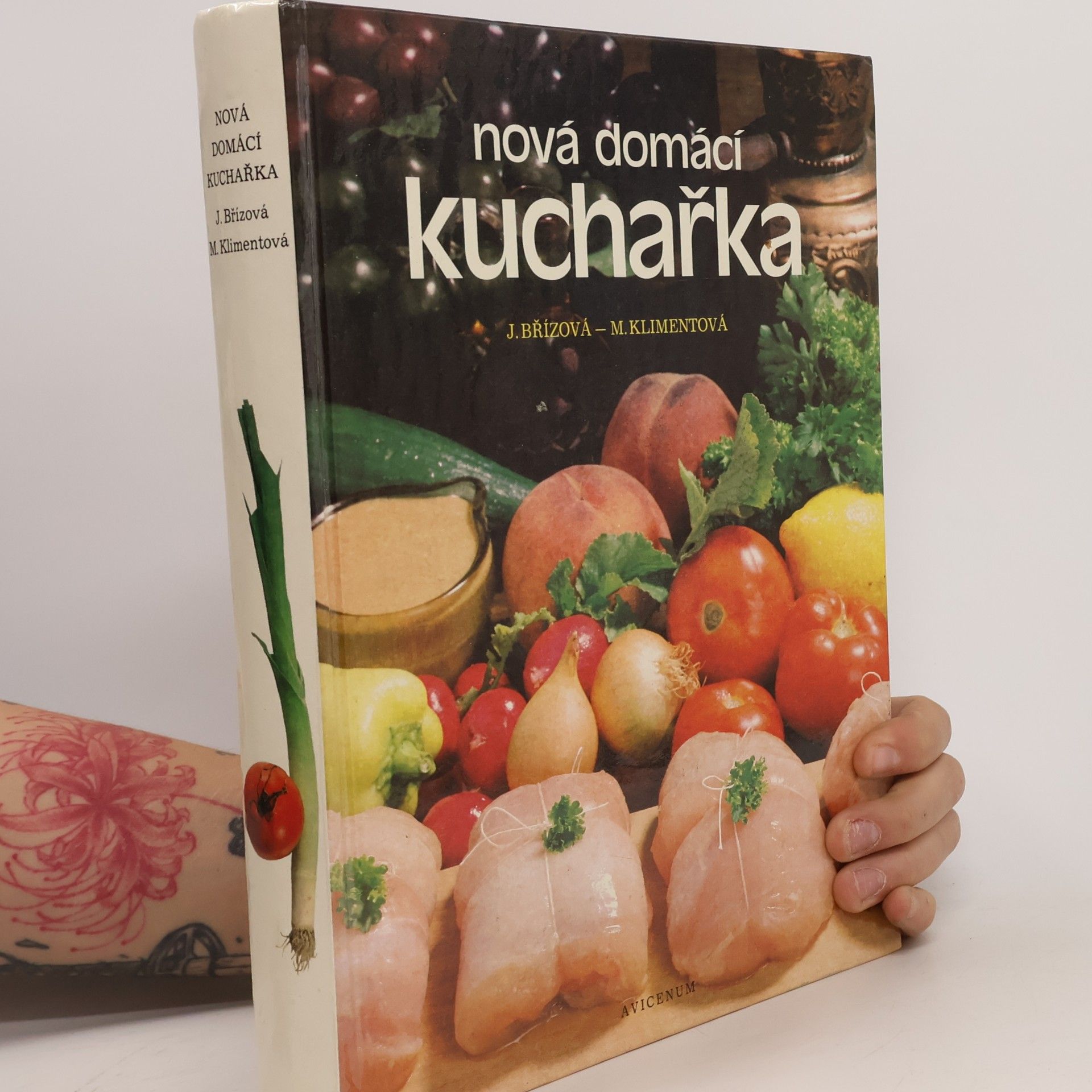 Joza Břízová Nová domácí kuchařka