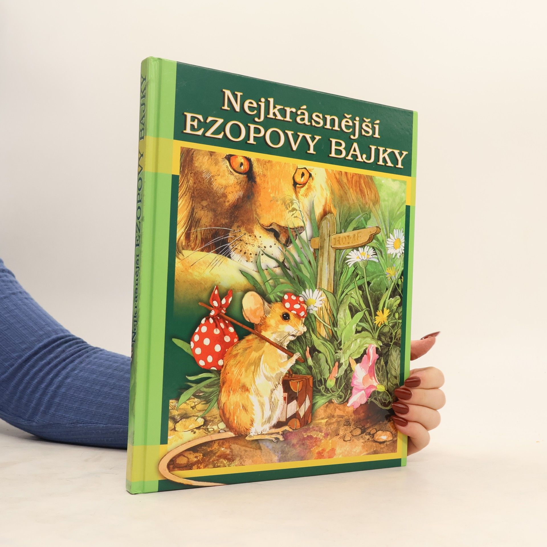 Various authors Nejkrásnější Ezopovy bajky