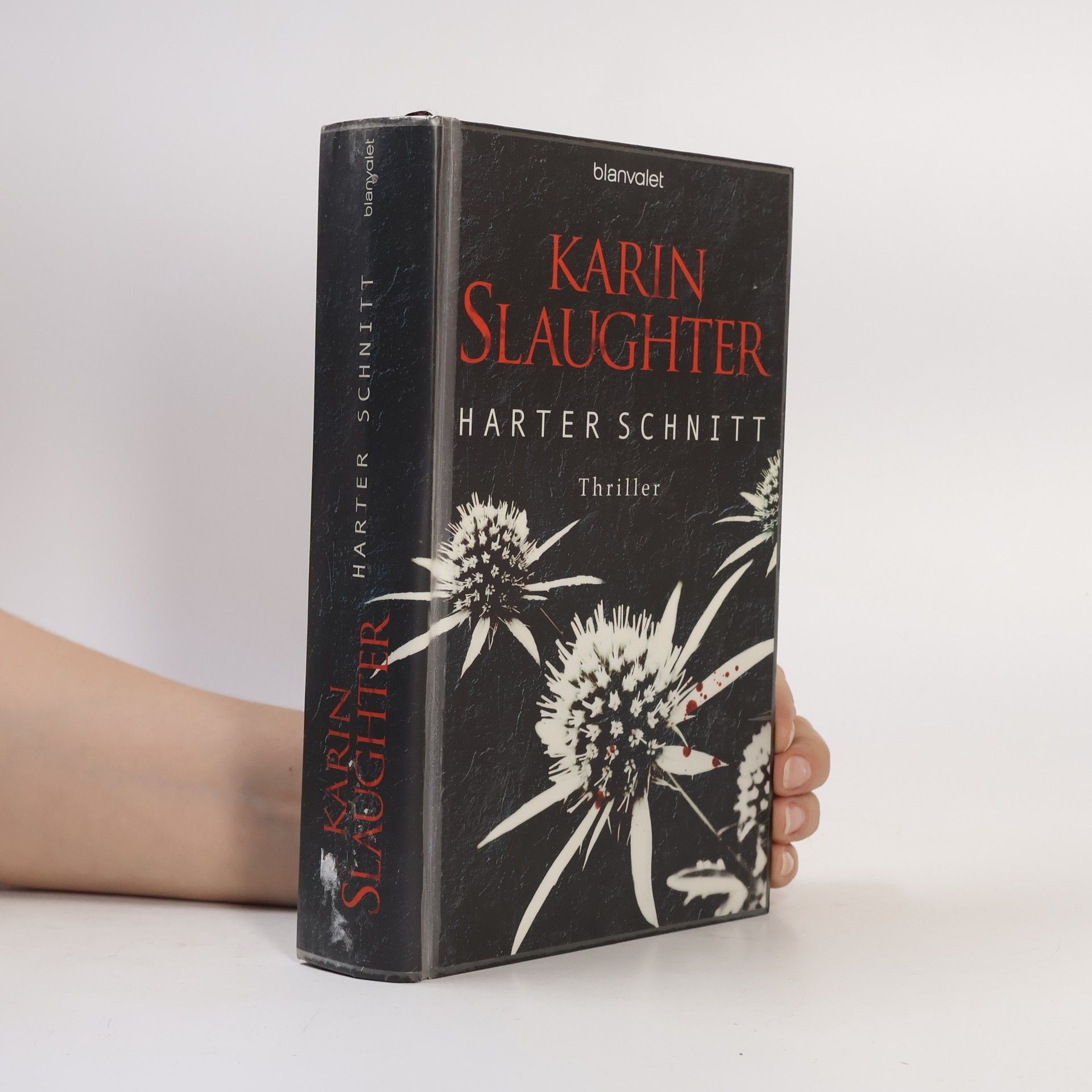 Karin Slaughter Harter Schnitt