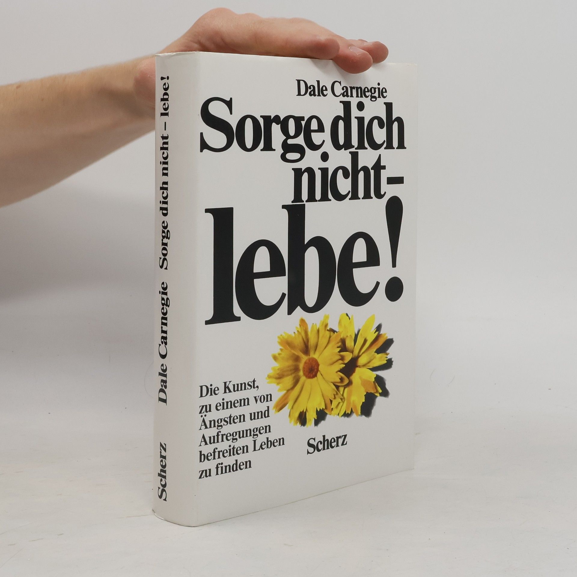 Dale Carnegie Sorge dich nicht - lebe!