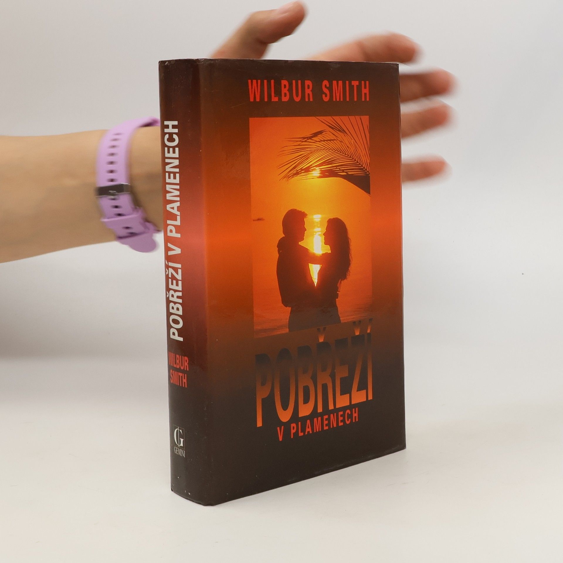 Wilbur Smith Pobřeží v plamenech