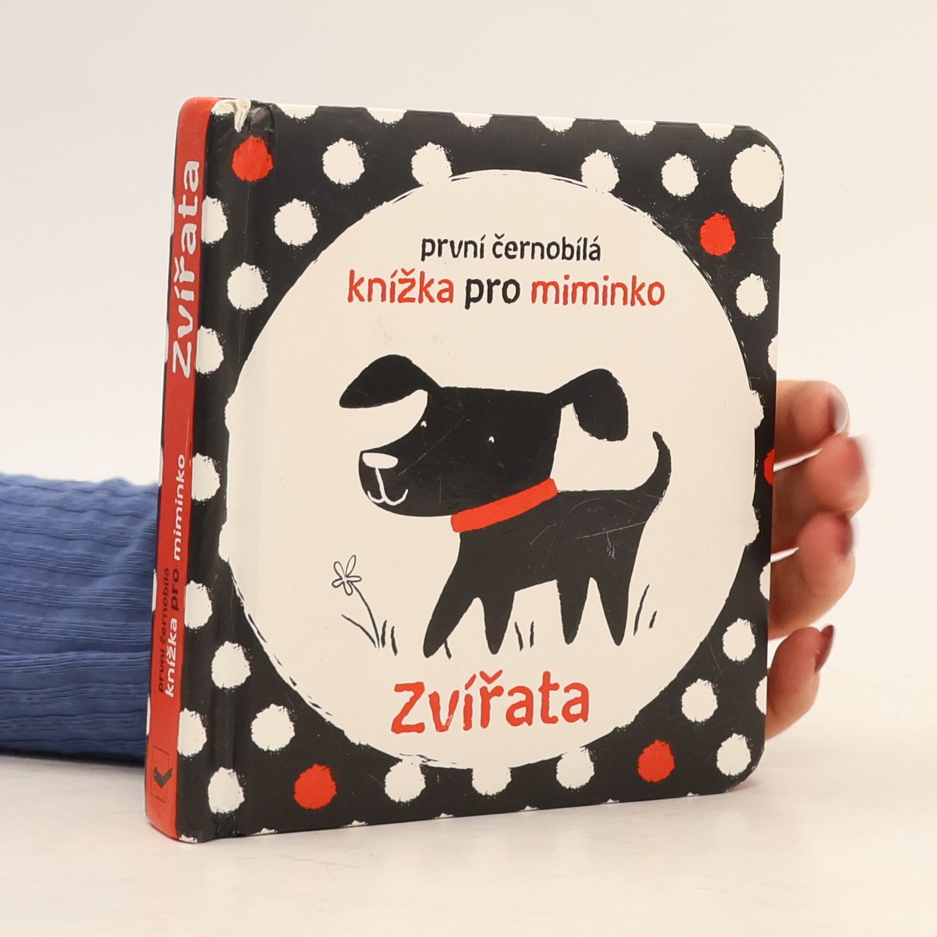 Stella Baggott Zvířata