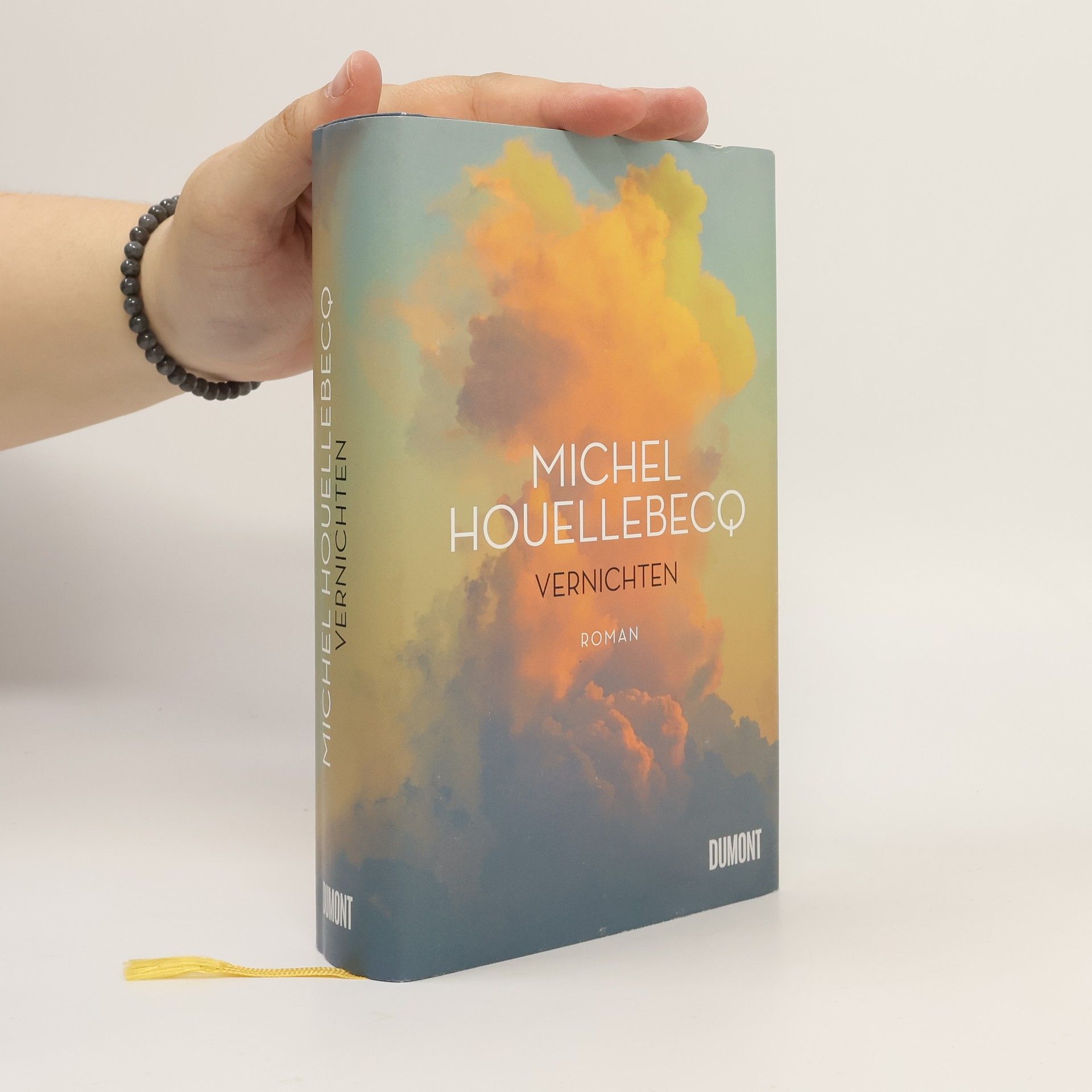 Michel Houellebecq Vernichten