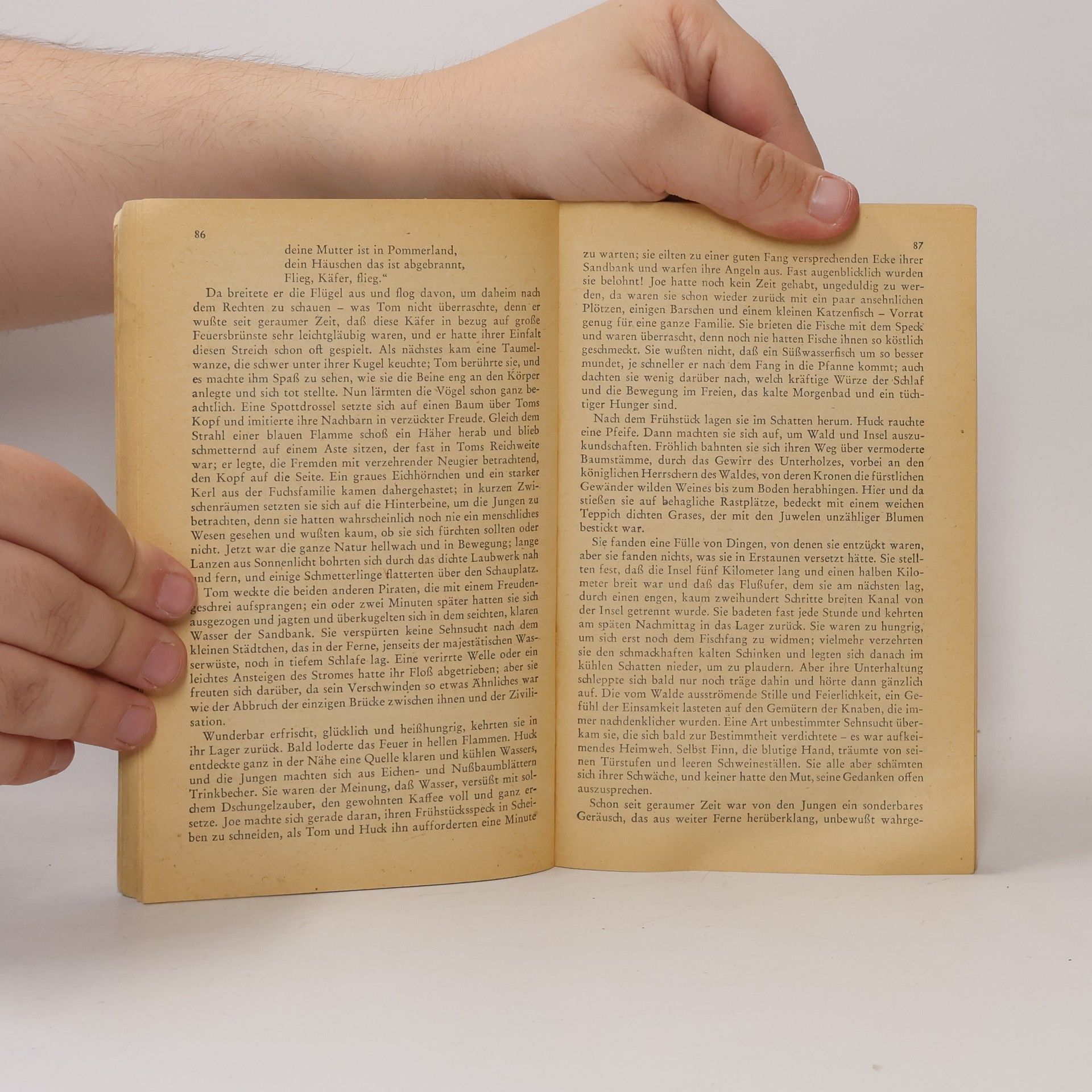 Mark Twain Tom Sawyer