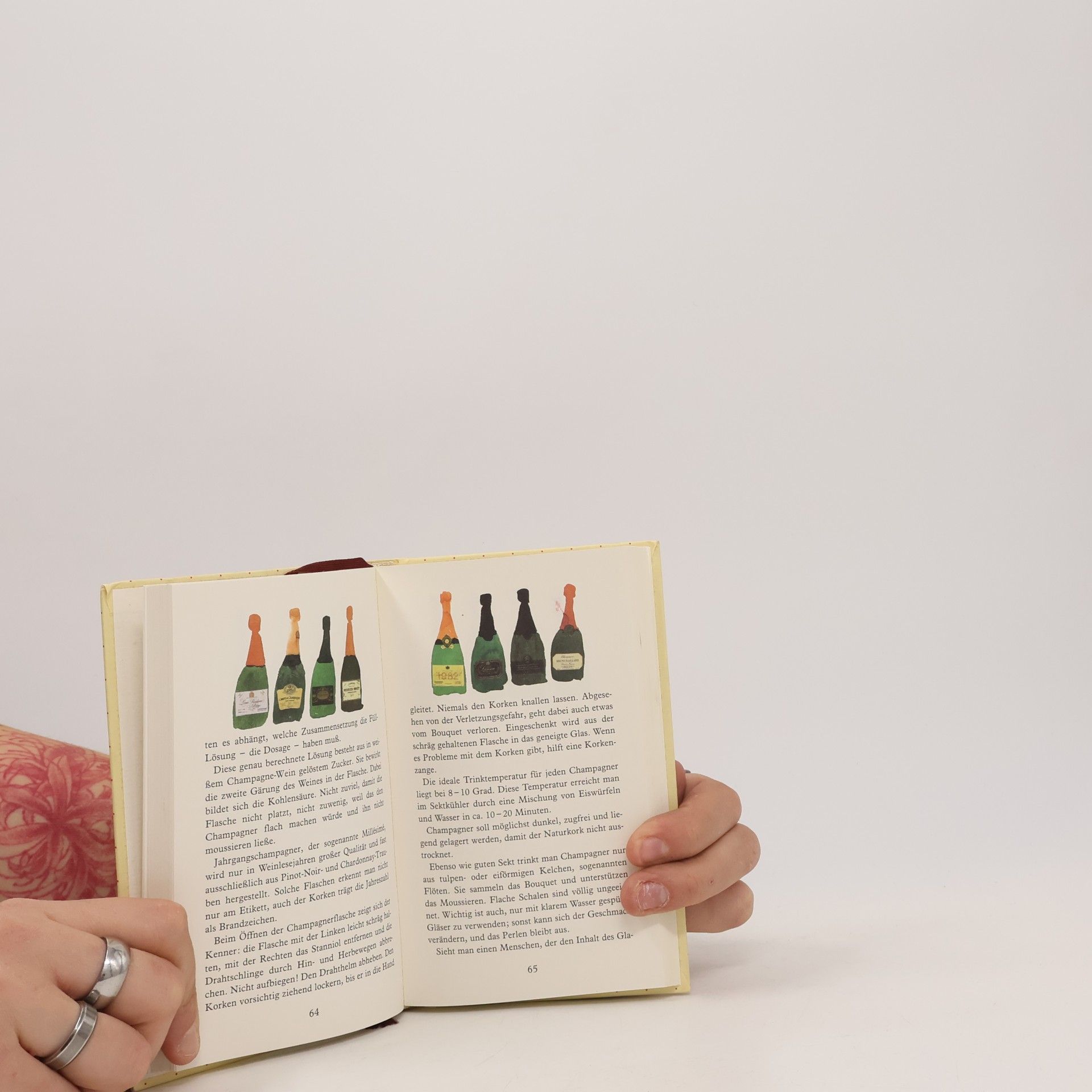 Kolektiv autorů Das kleine Buch... für das glückliche Geburstagkind