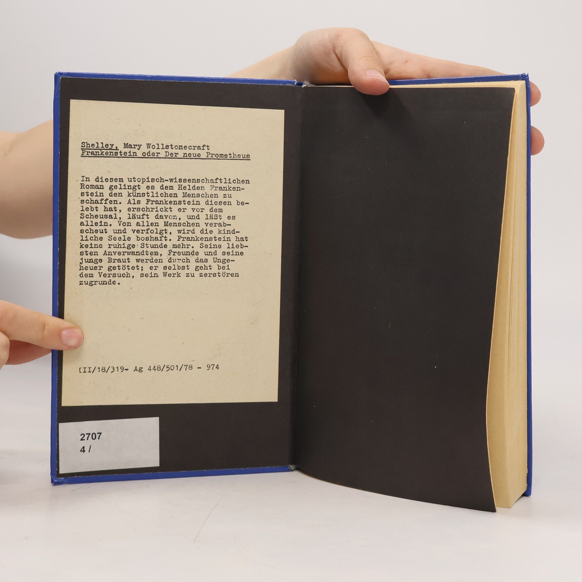 Mary Shelley Frankenstein oder der neue Prometheus