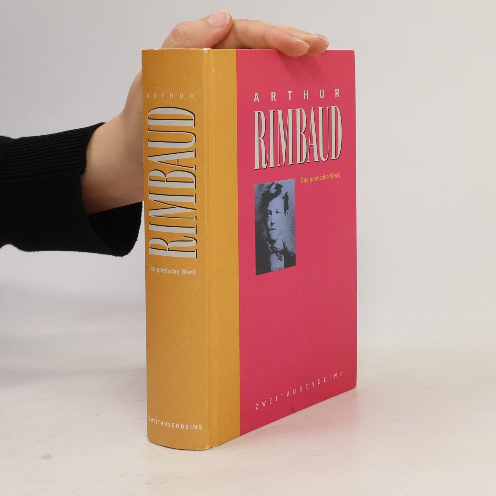 Jean Nicolas Arthur Rimbaud Das poetische Werk