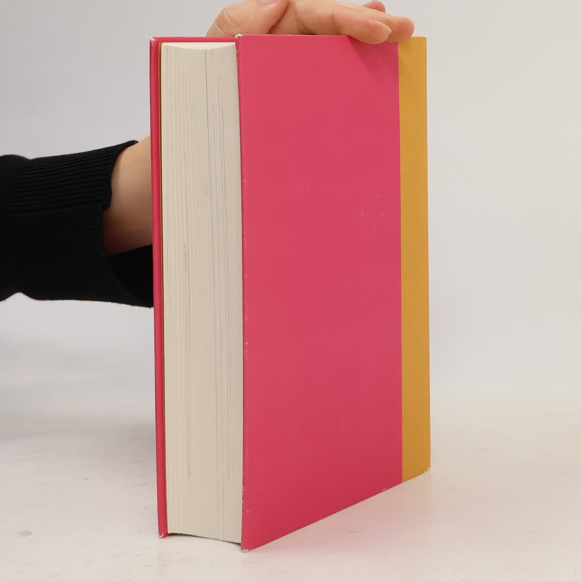 Jean Nicolas Arthur Rimbaud Das poetische Werk