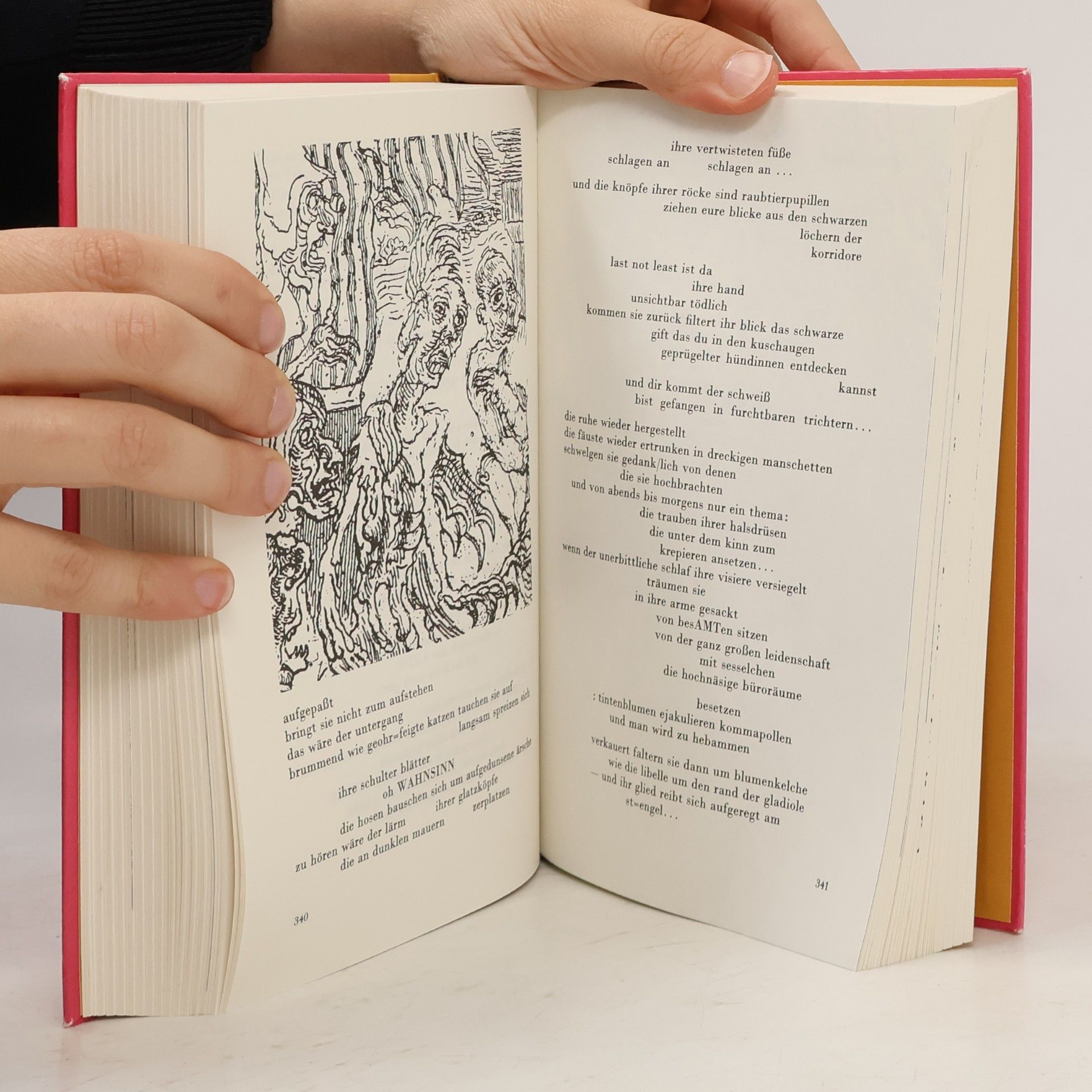 Jean Nicolas Arthur Rimbaud Das poetische Werk