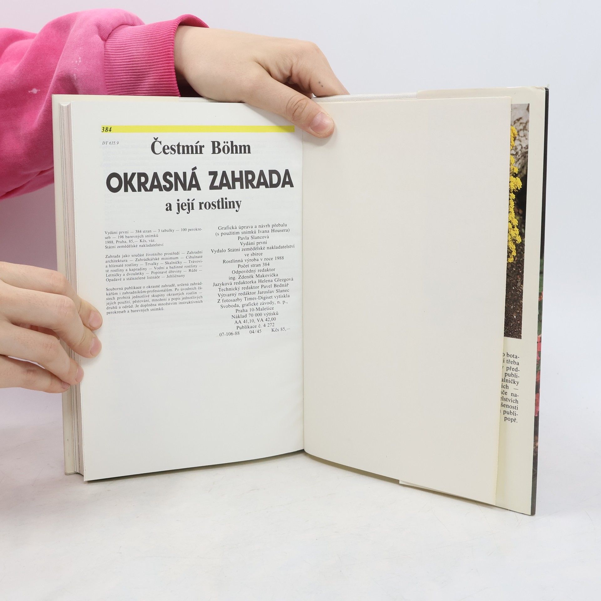 Čestmír Böhm Okrasná zahrada a její rostliny