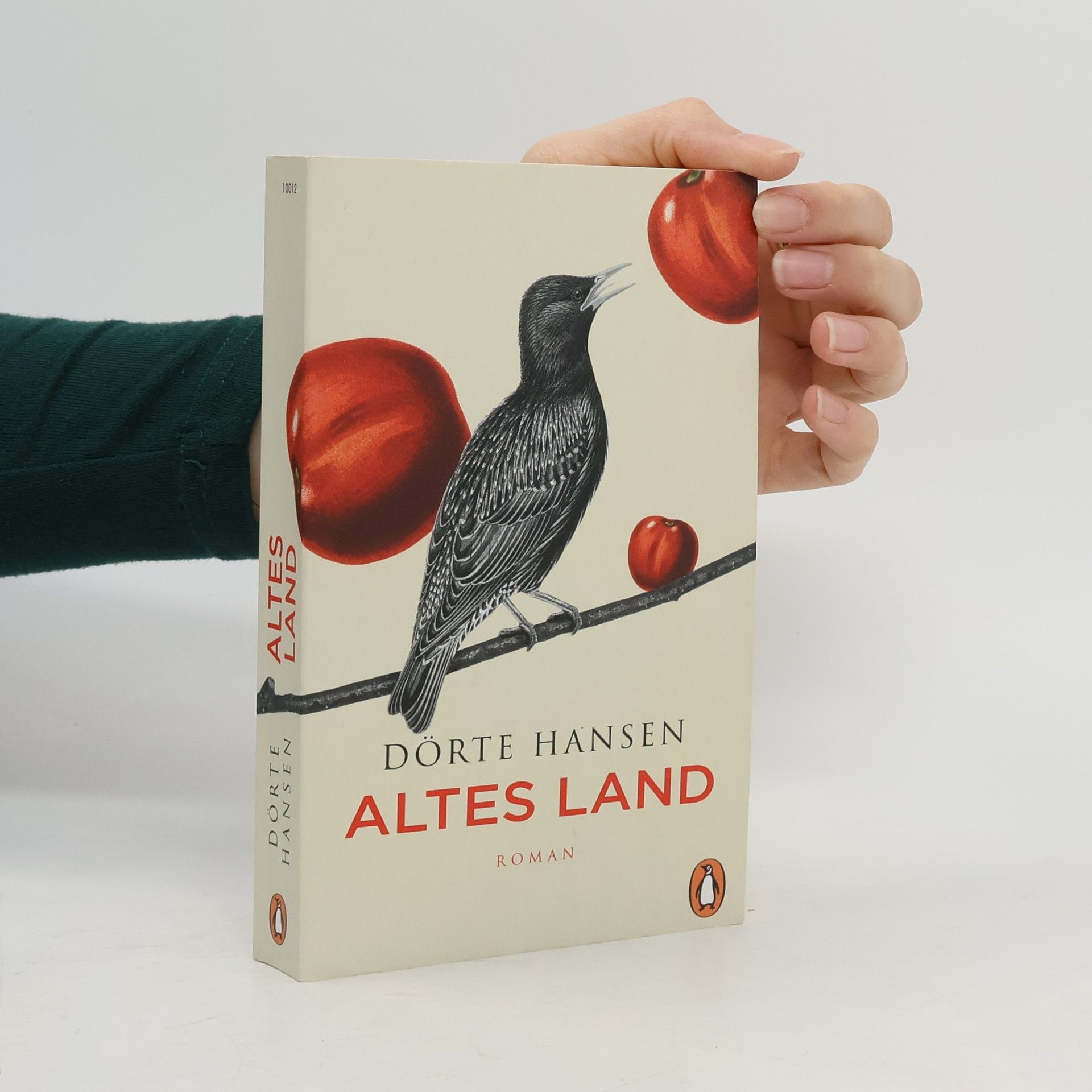 Dörte Hansen Altes Land