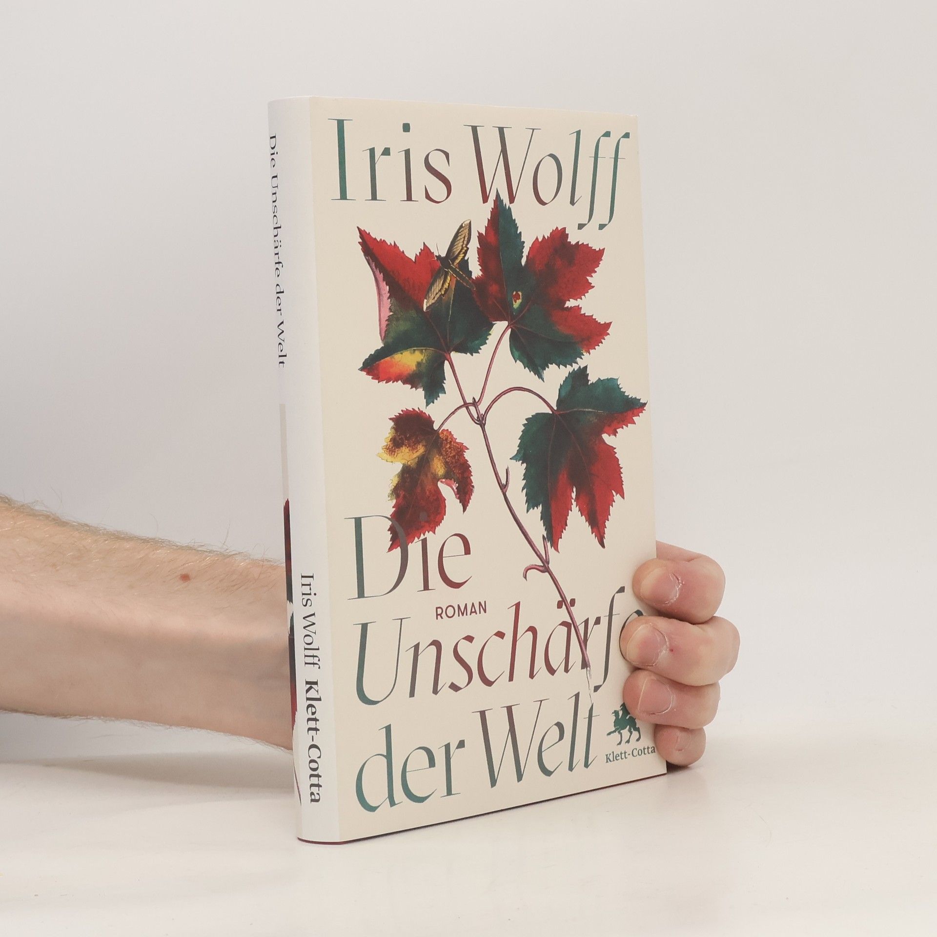 Iris Wolff Die Unschärfe der Welt