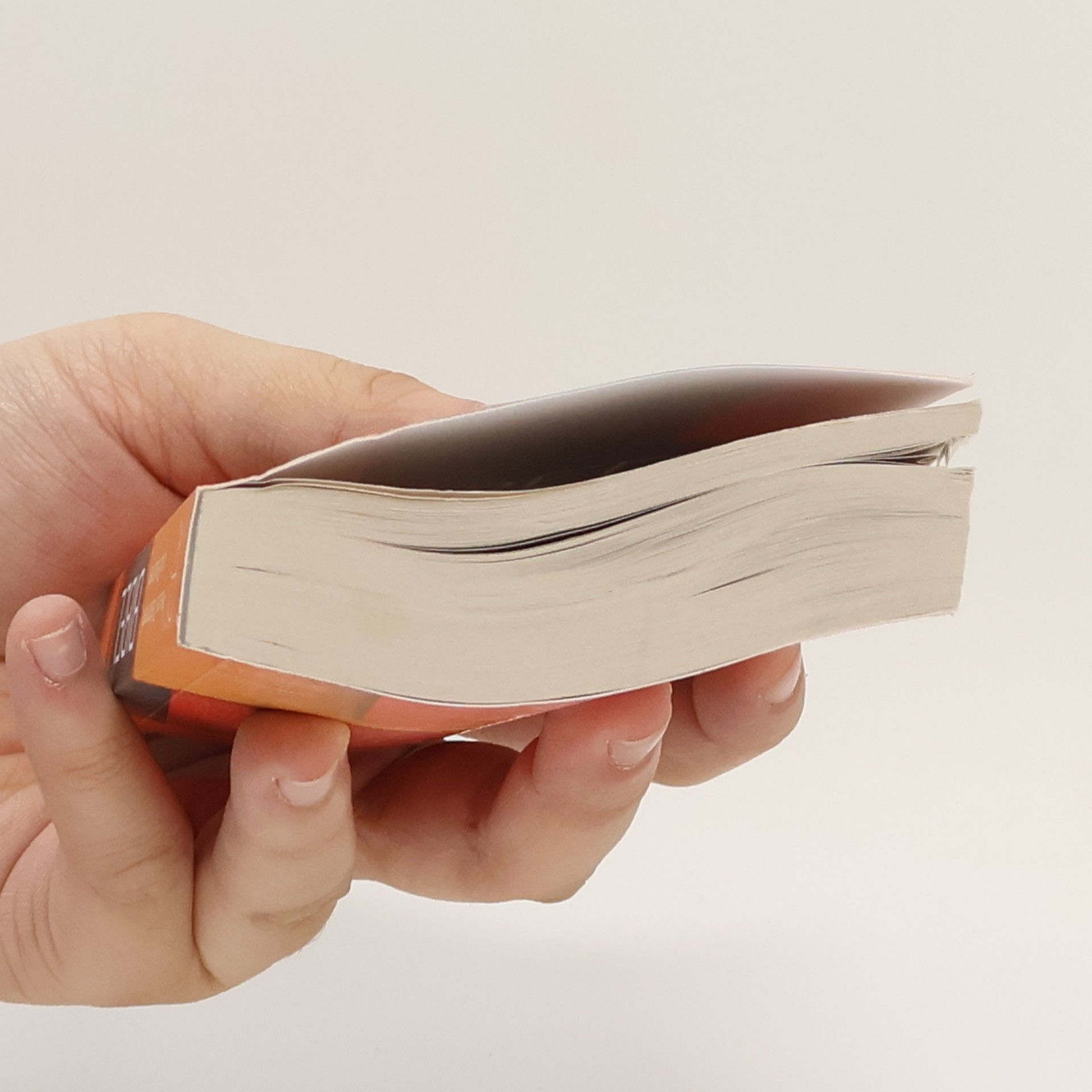 Auteurscollectief Die Bibel. Neues Testament und Psalmen