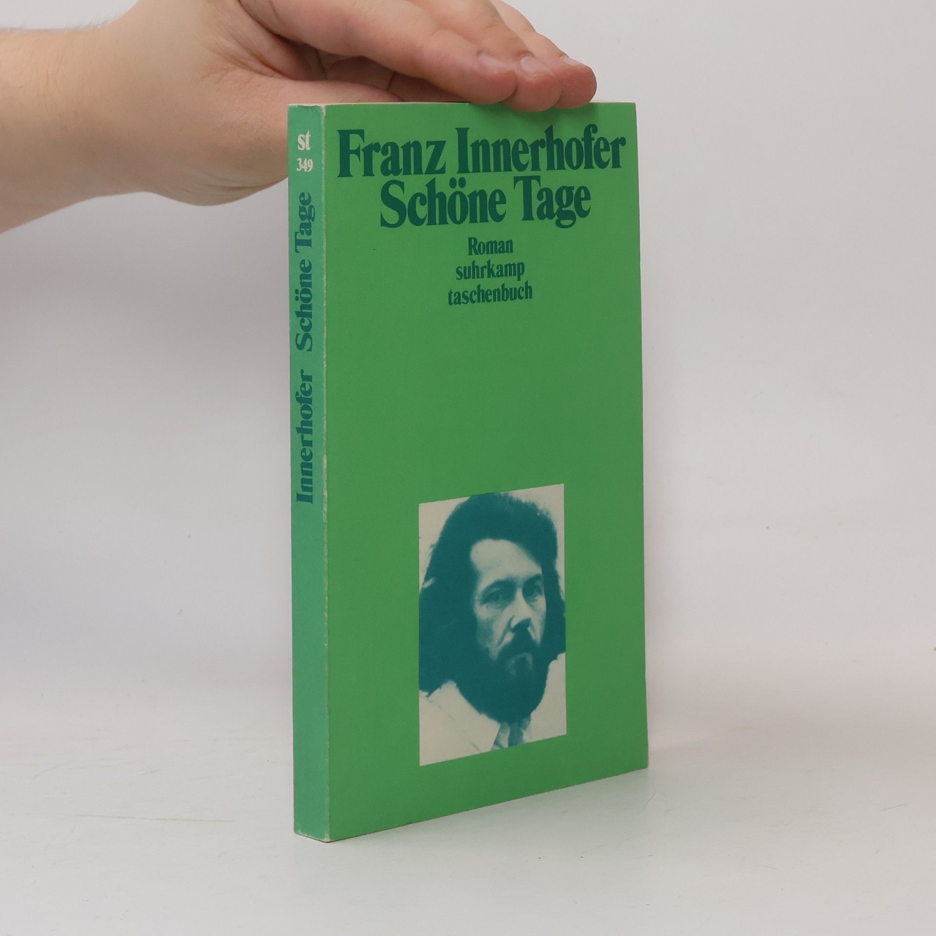 Franz Innerhofer Schöne Tage