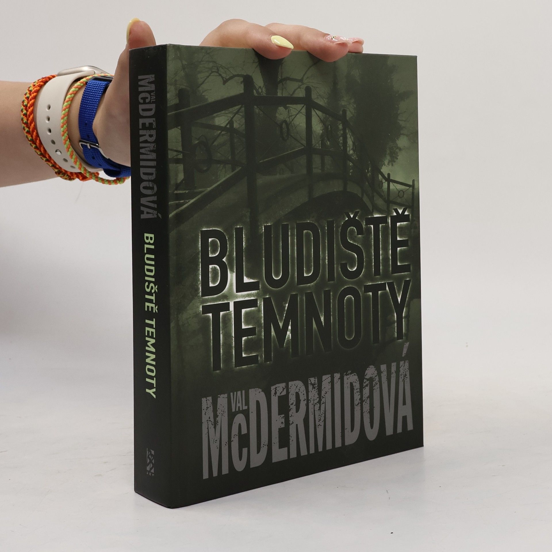Val McDermid Bludiště temnoty