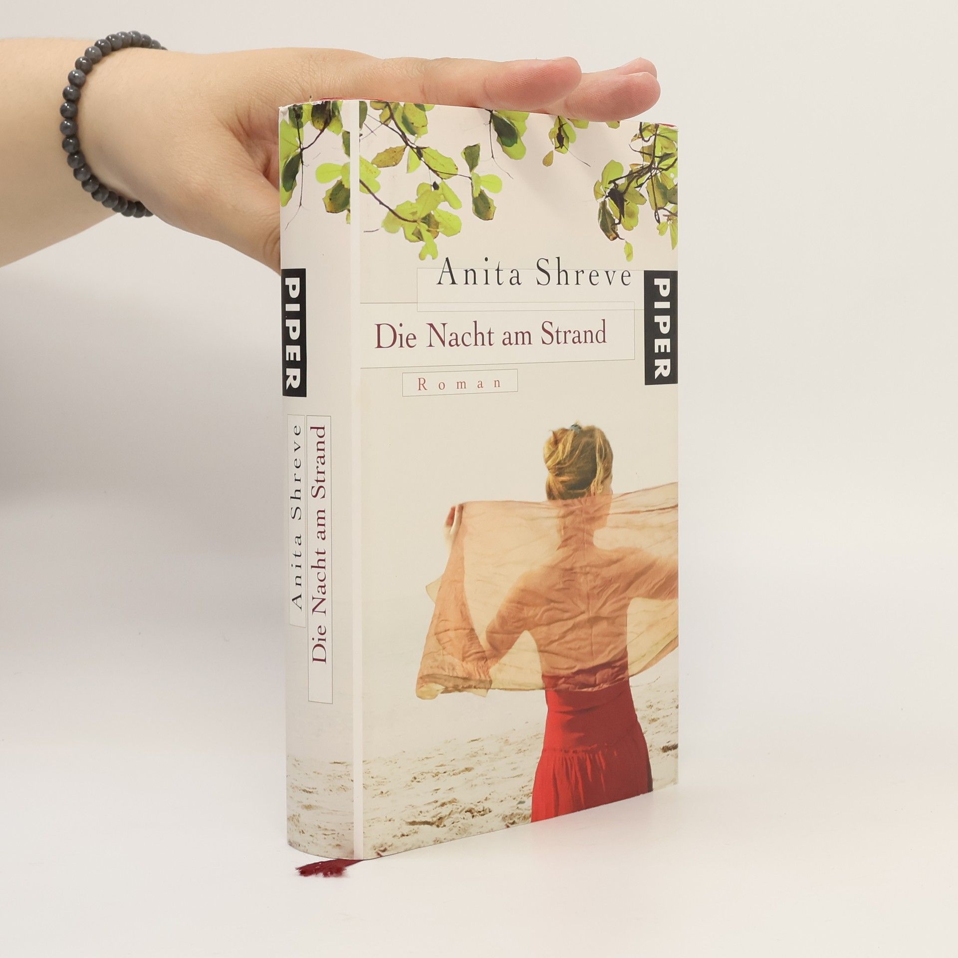 Anita Shreve Die Nacht am Strand
