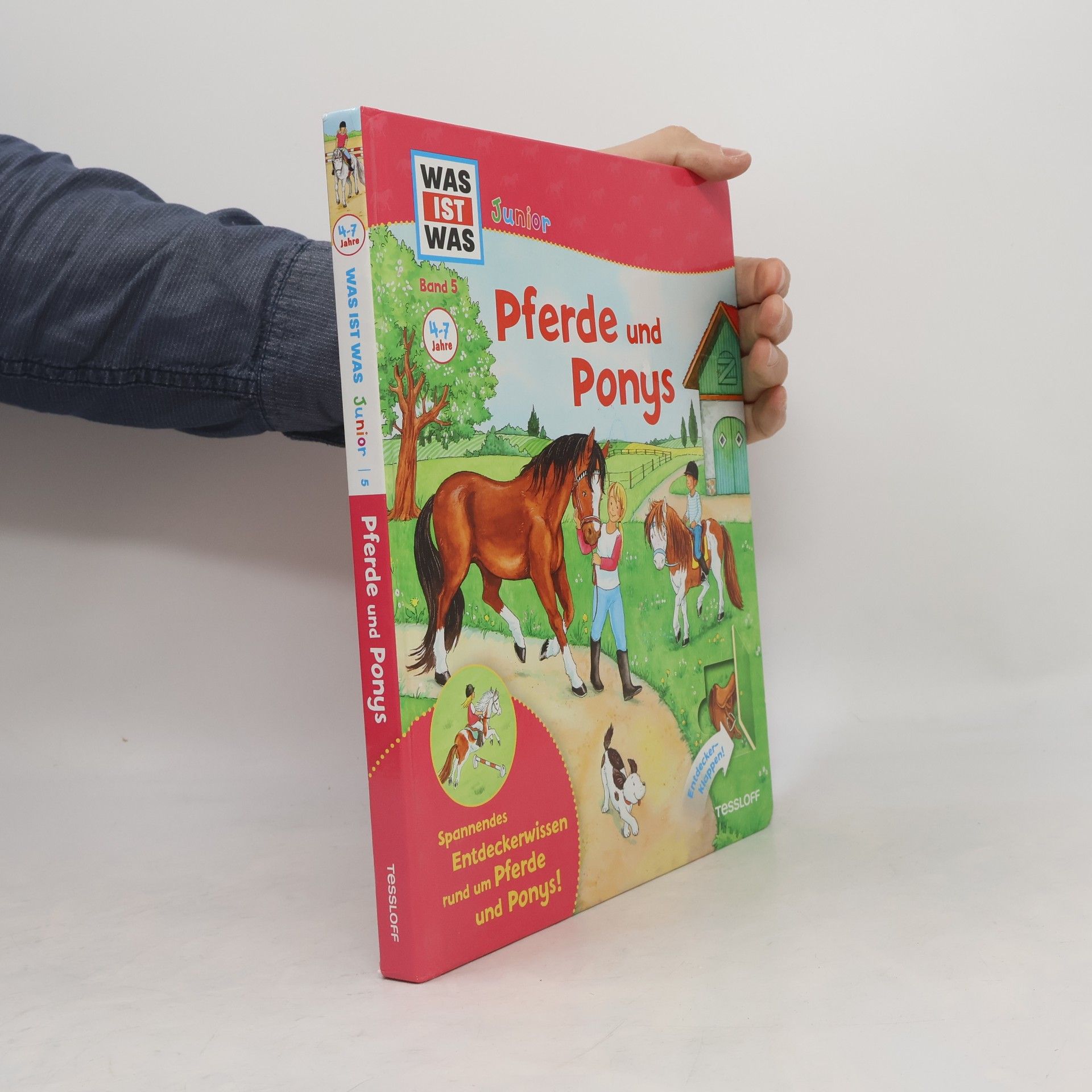 Silke Voigt Pferde und Ponys