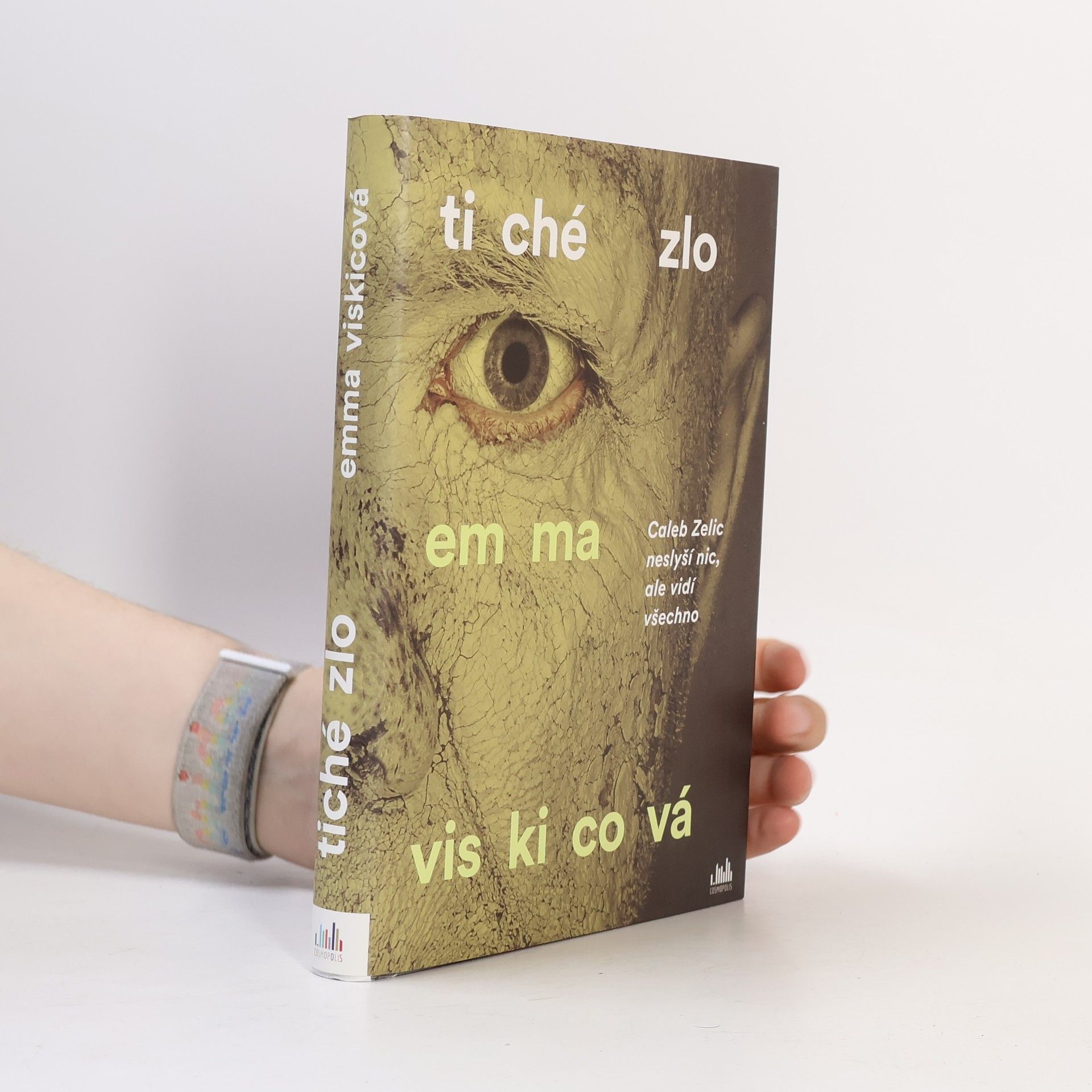 Emma Viskic Tiché zlo