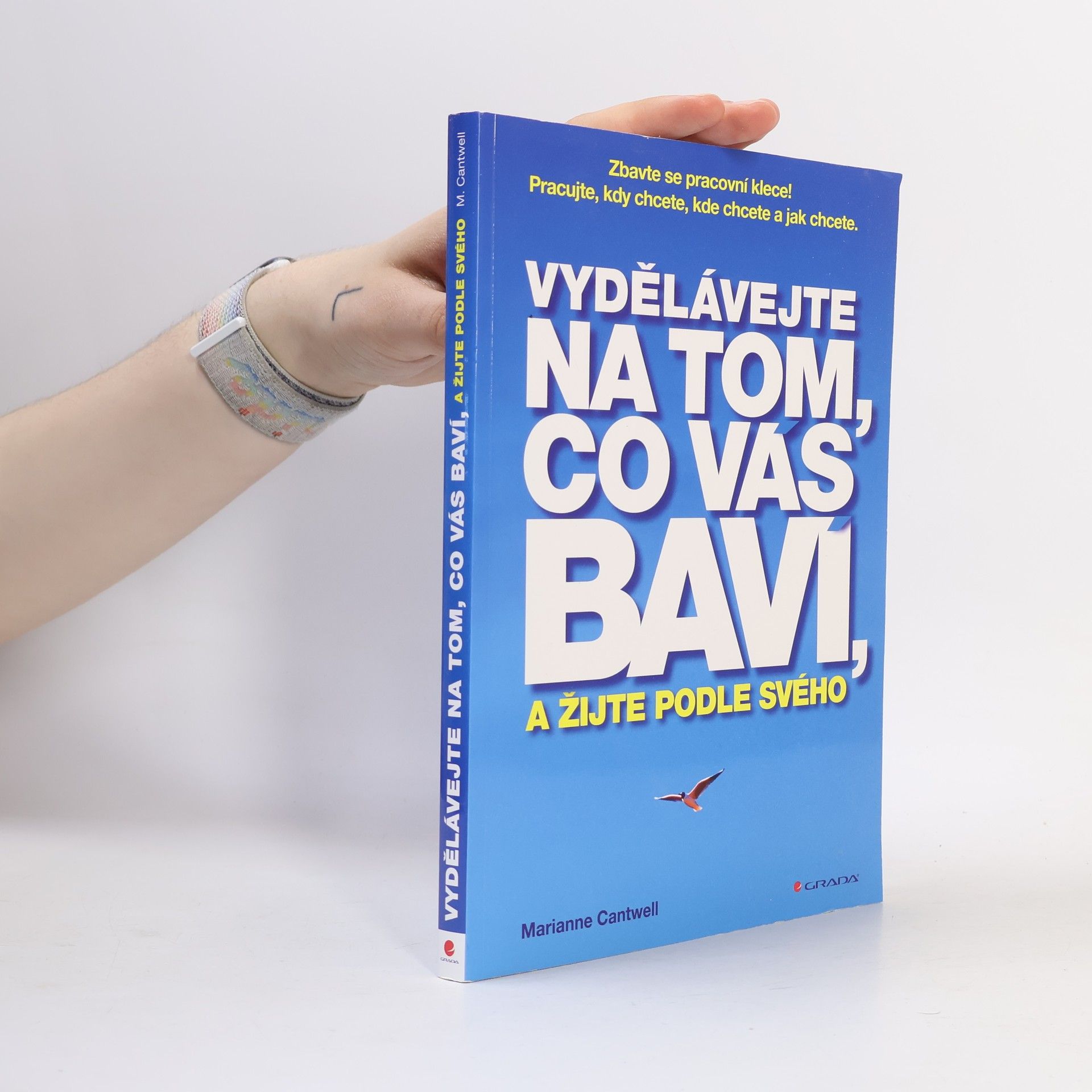 Marianne Cantwell Vydělávejte na tom, co vás baví, a žijte podle svého