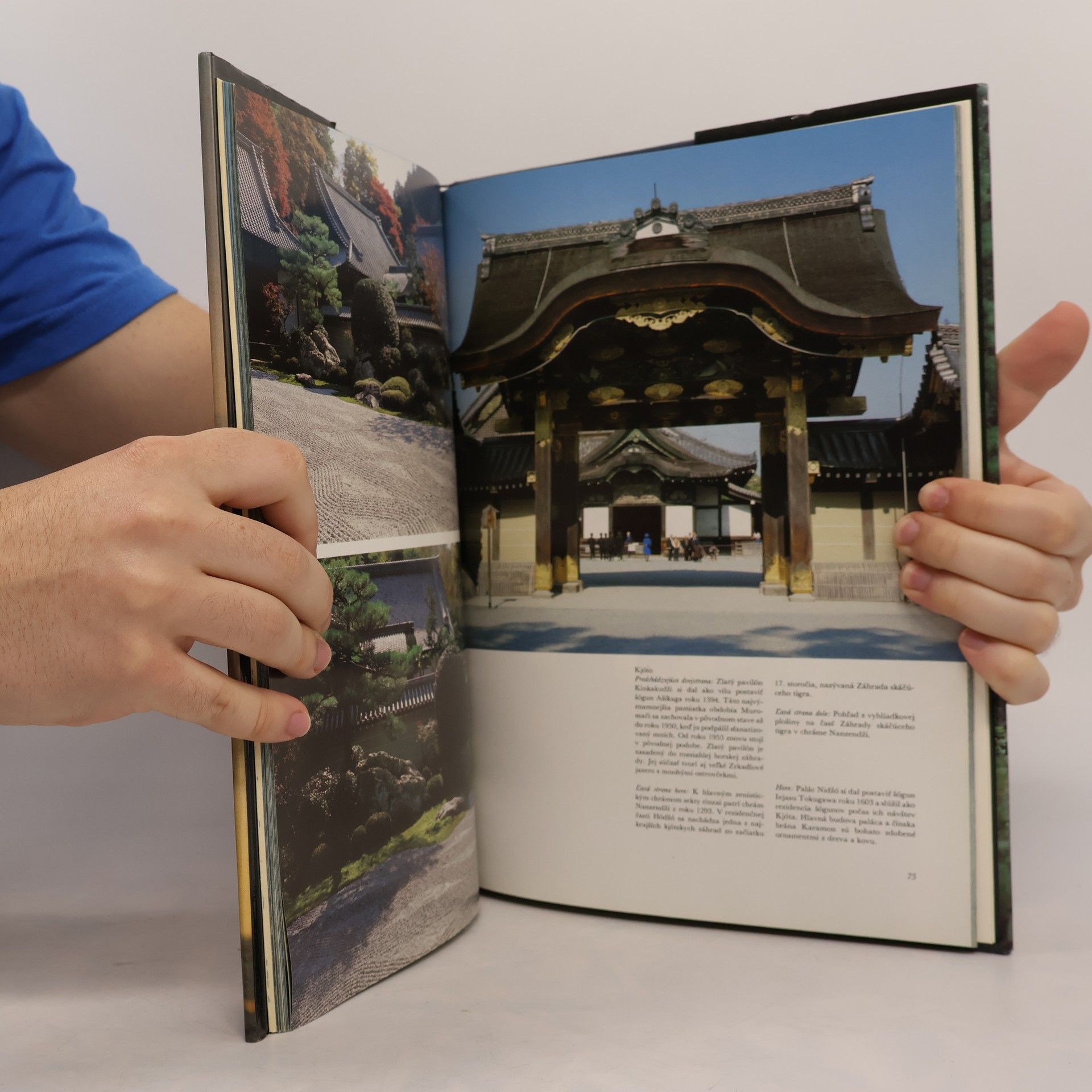 Karol Kut'ka Japonsko