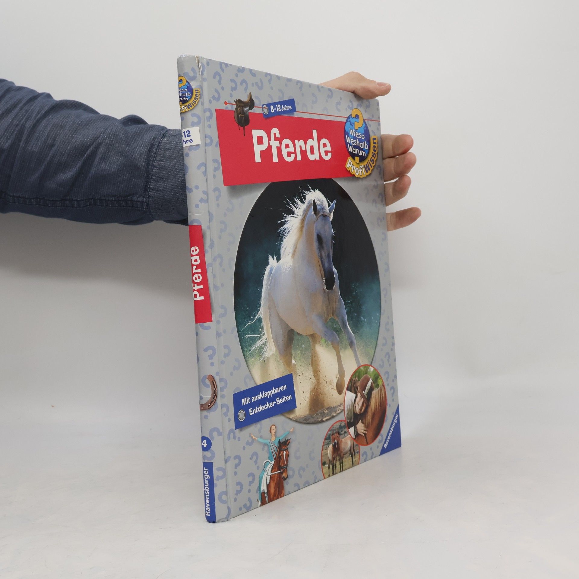 Kolektiv autorů Pferde
