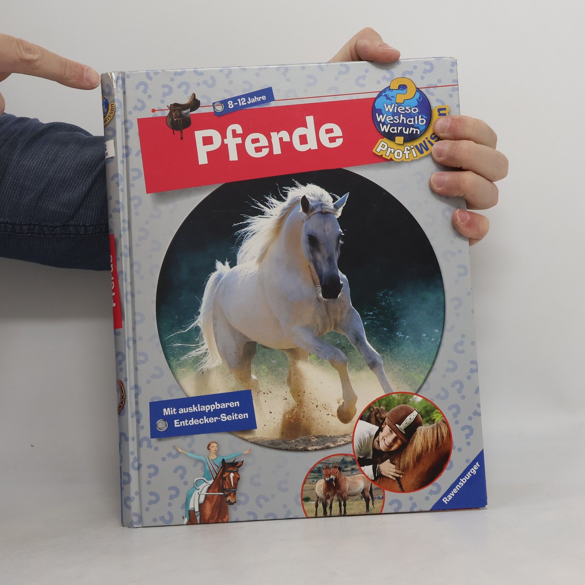 Kolektiv autorů Pferde