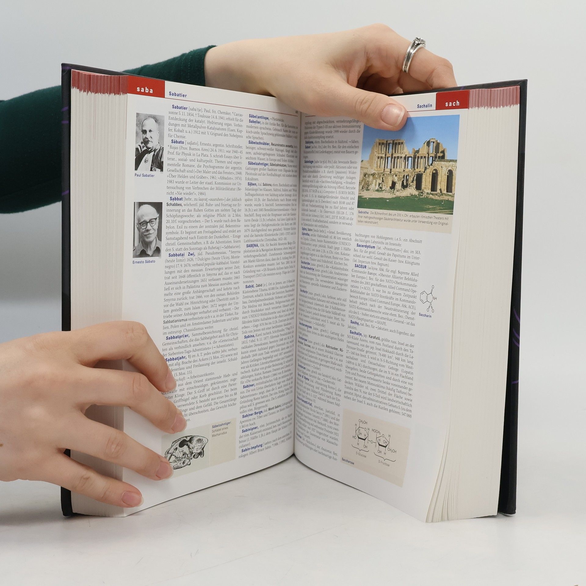 Kolektiv autorů Der Brockhaus in sechs Bänden 2 Det-Grum