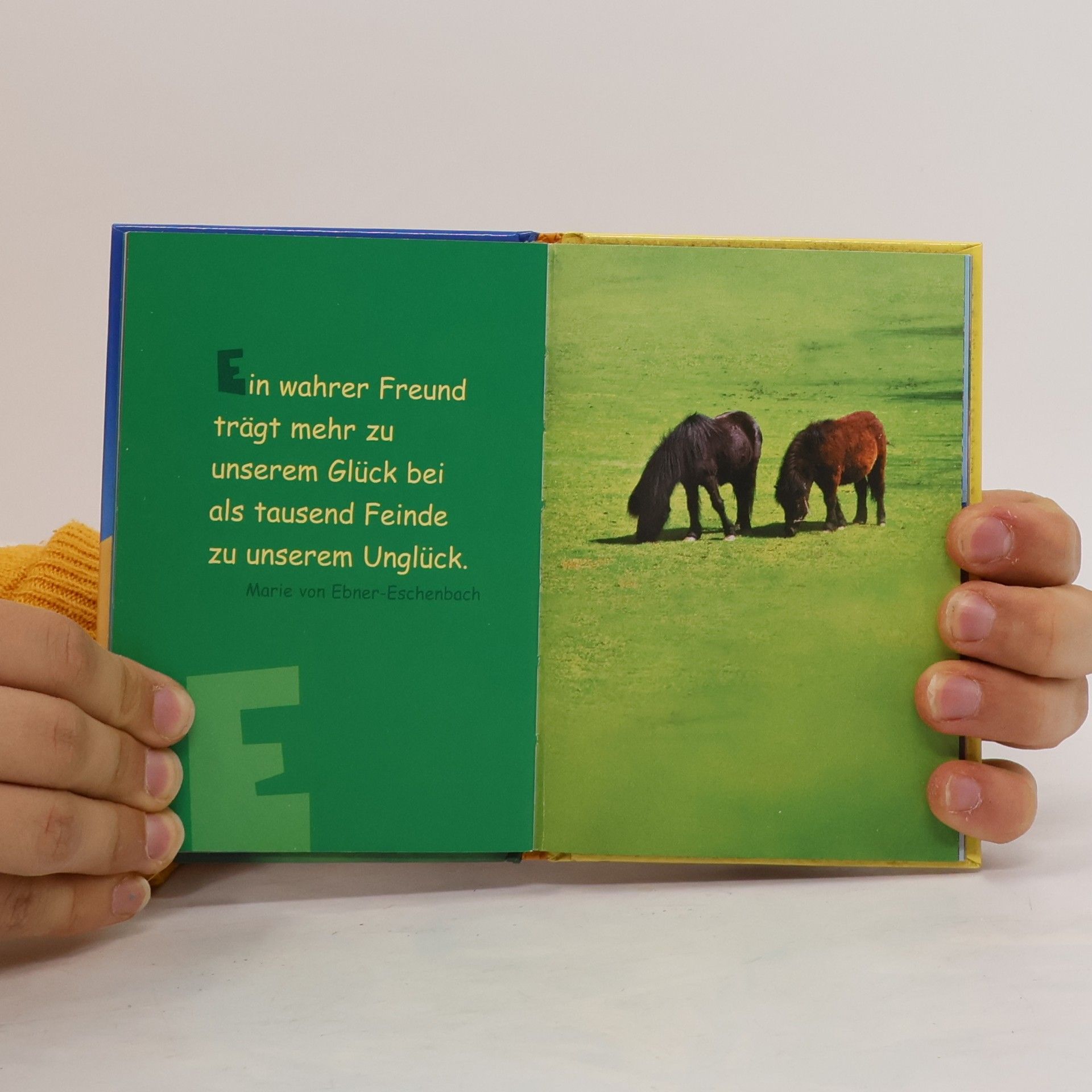 Various authors Es ist so schön, Freunde zu haben