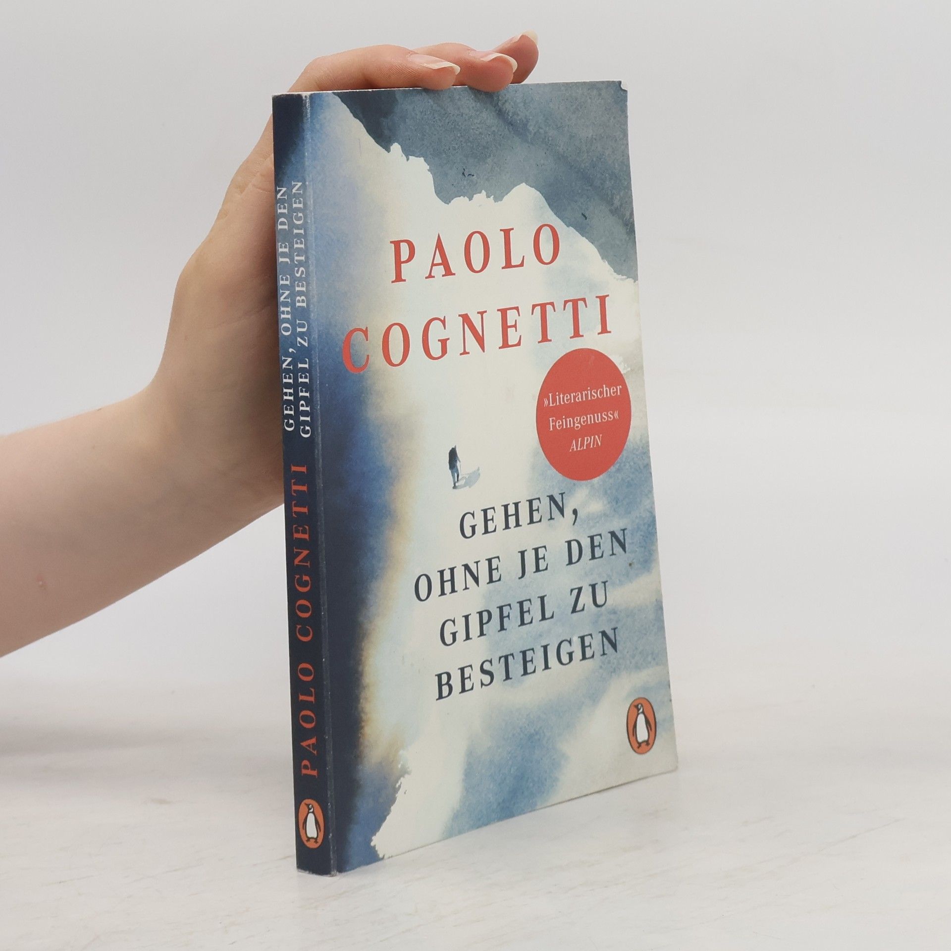 Paolo Cognetti Gehen, ohne je den Gipfel zu besteigen